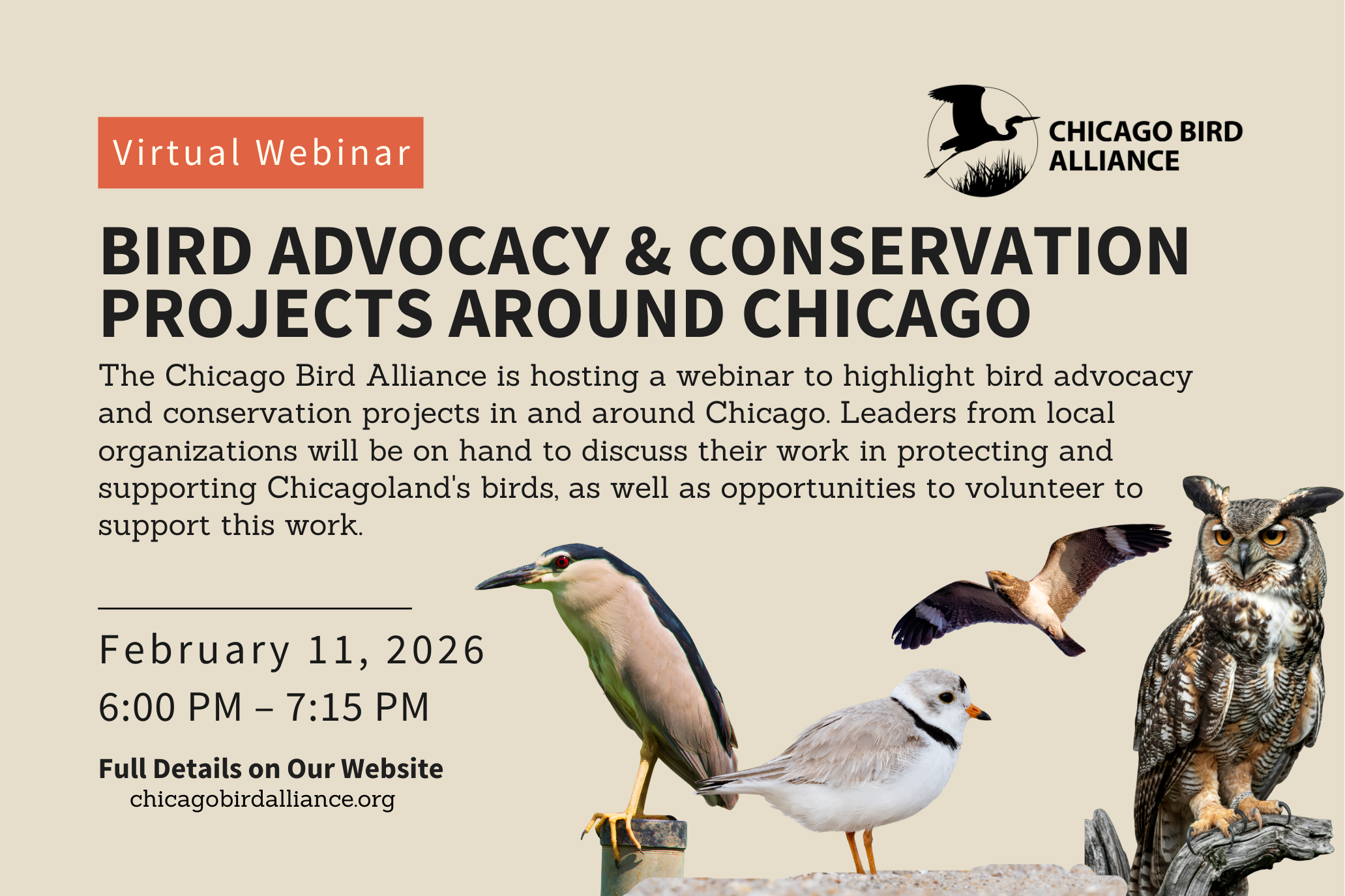WEBINAR: Bird Advocacy &amp; Conservation Projects Around Chicago