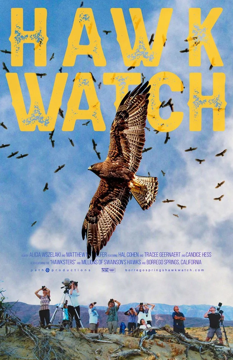 MOVIE SCREENING: Hawk Watch Documentary