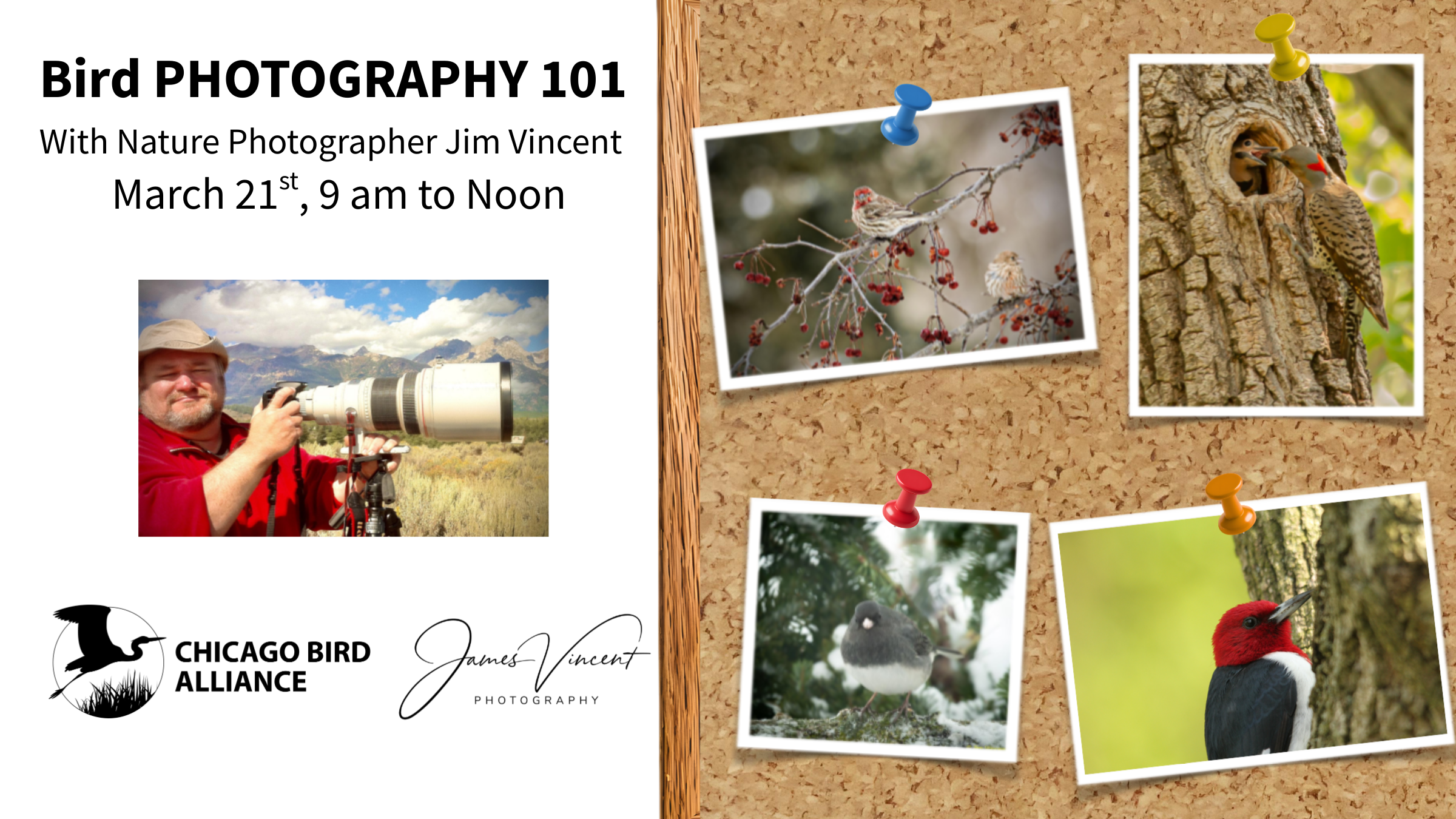 WORKSHOP: Bird Photography 101
