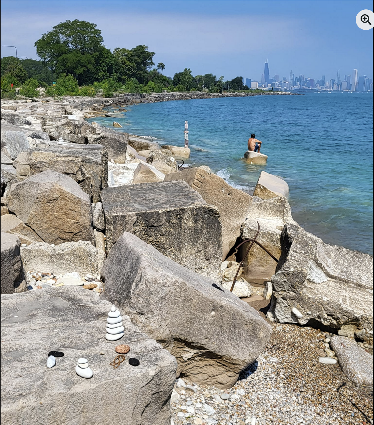 Action Alert! Opportunity for more south lakefront bird habitat