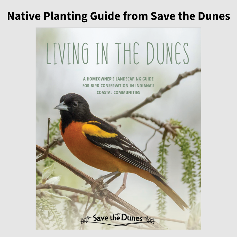 Save the Dunes Guide.png