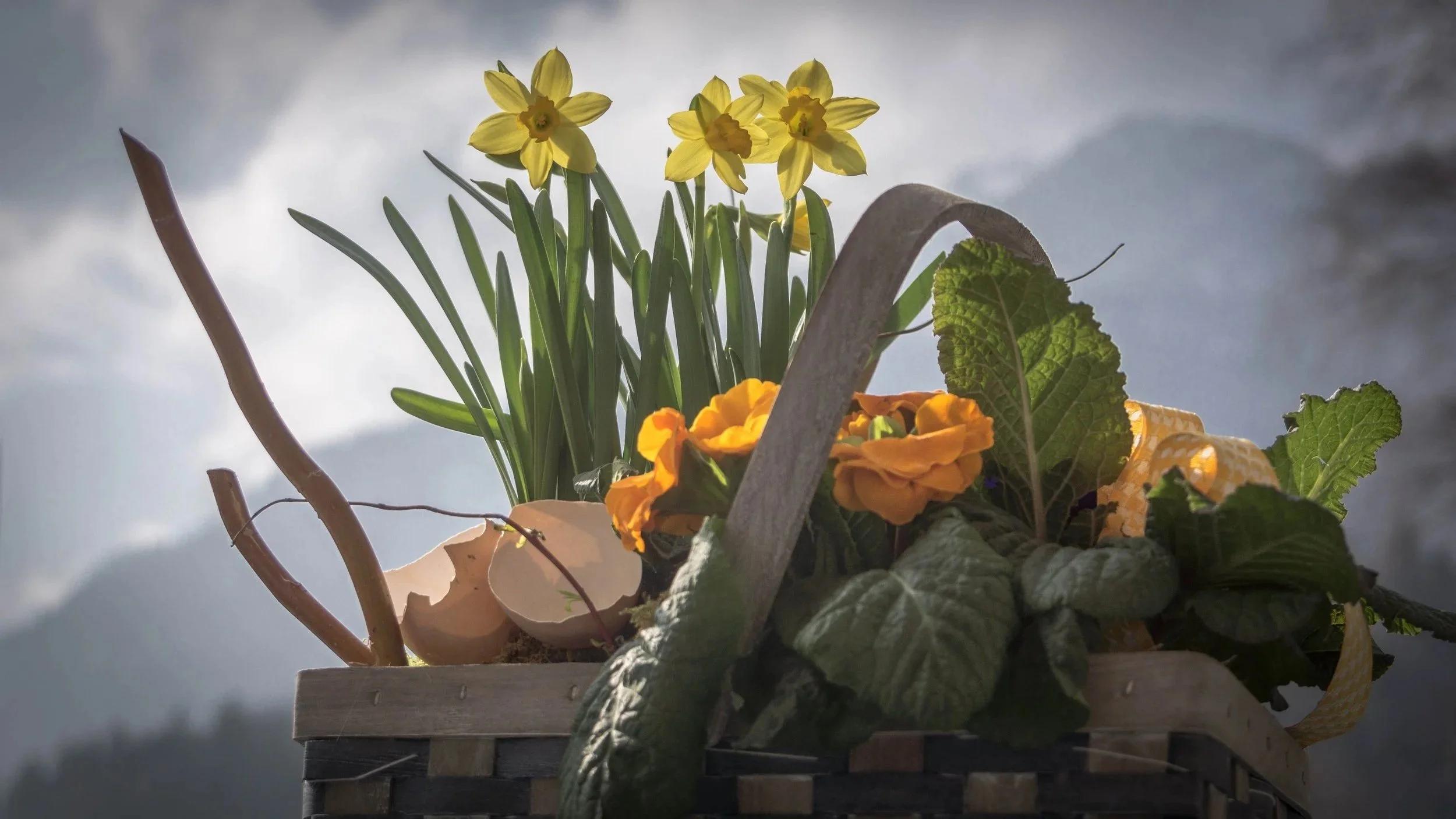 If Mother Nature Assembled an Easter Basket