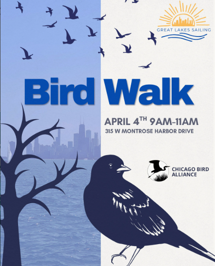 Bird Outing with Great Lakes Sailing