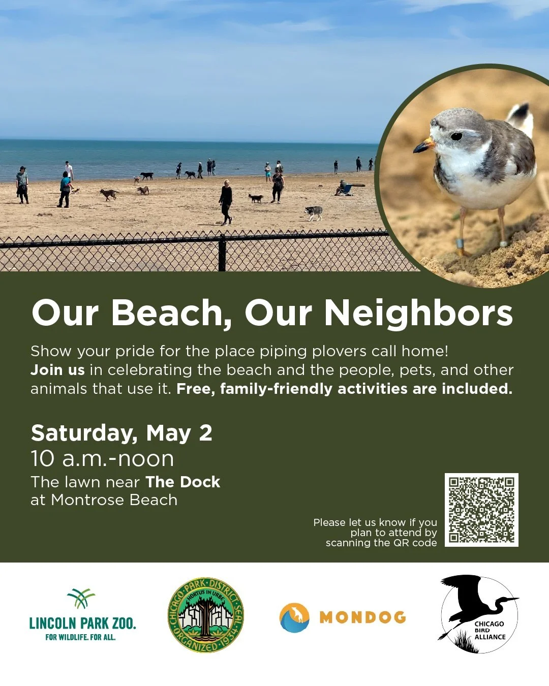 Our Beach, Our Neighbors