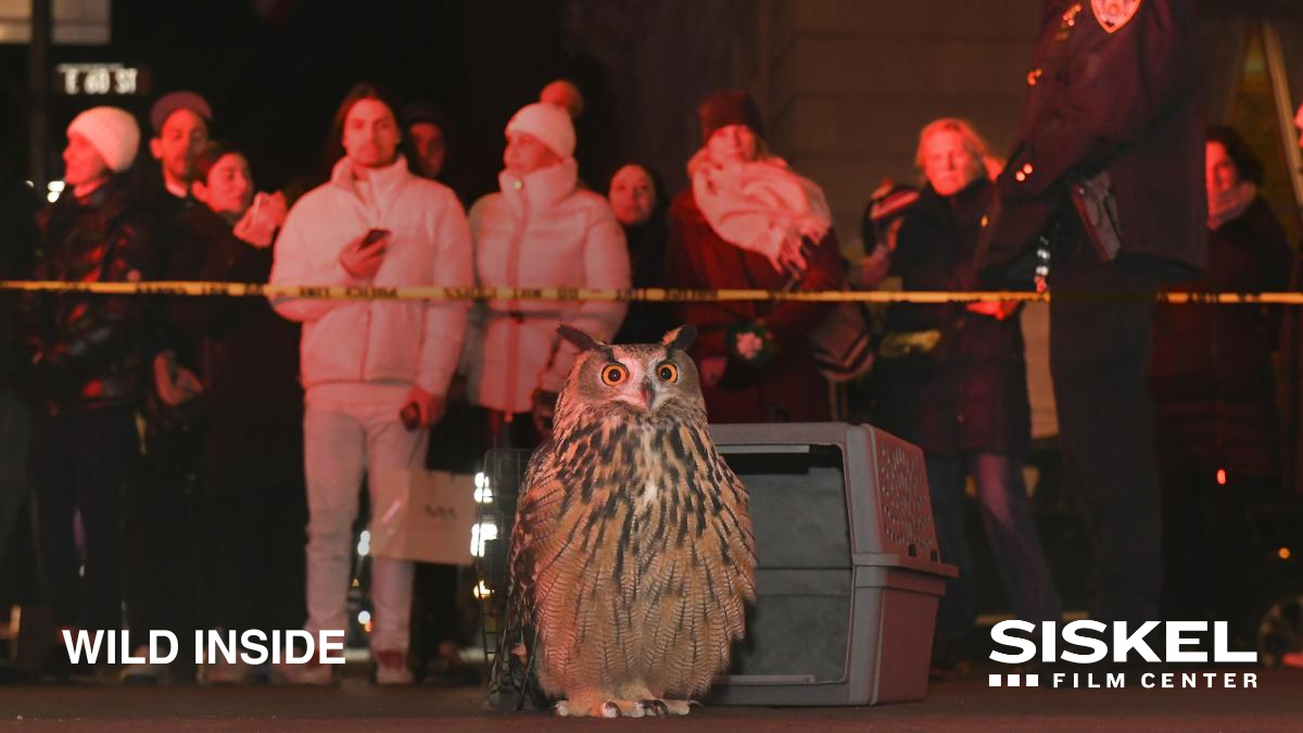 "Wild Inside" Documentary