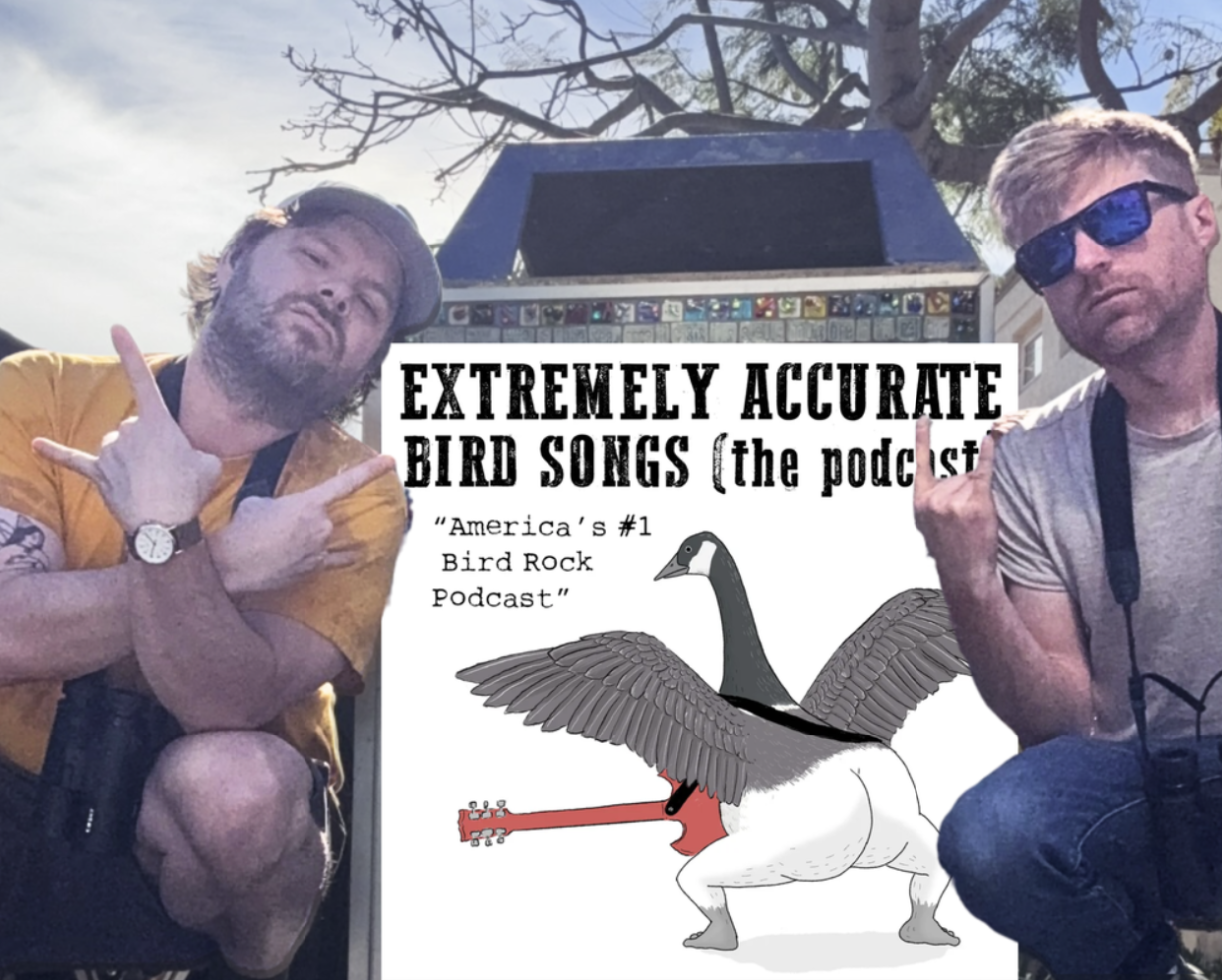 Interview with Tommy and Billy of Extremely Accurate Birds!