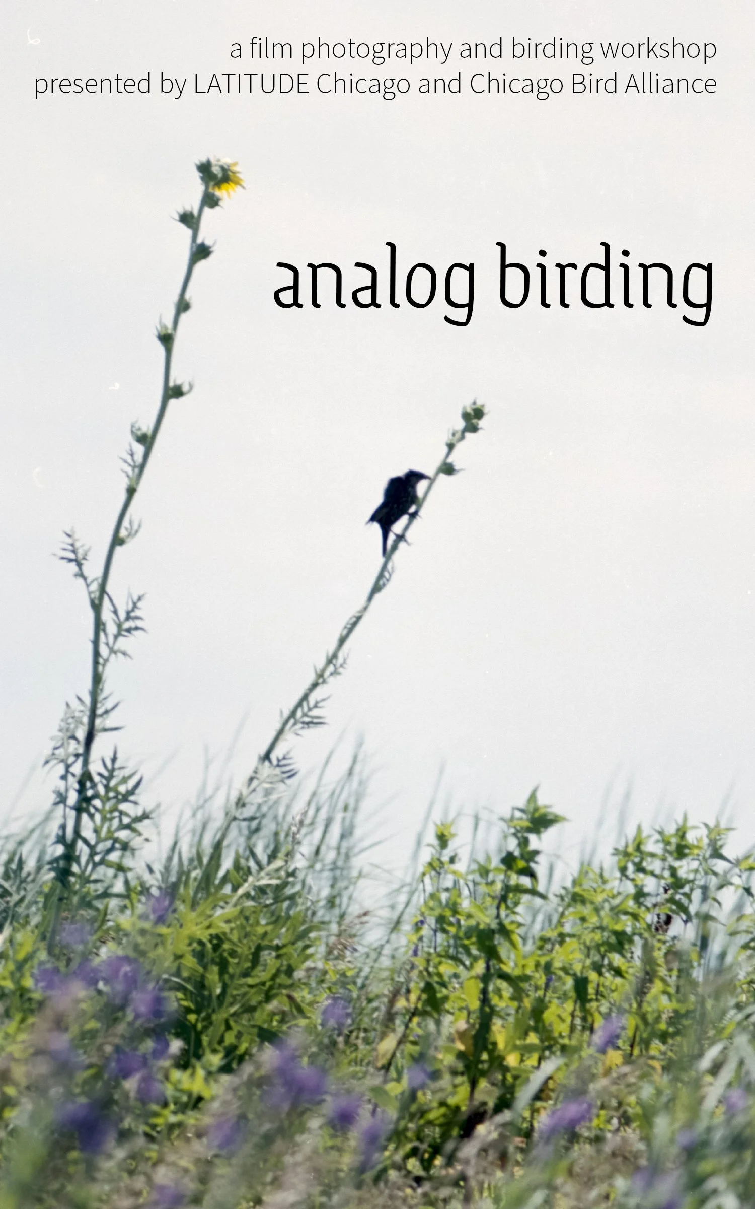 Analog Birding Film Course (Class 1 of 3)