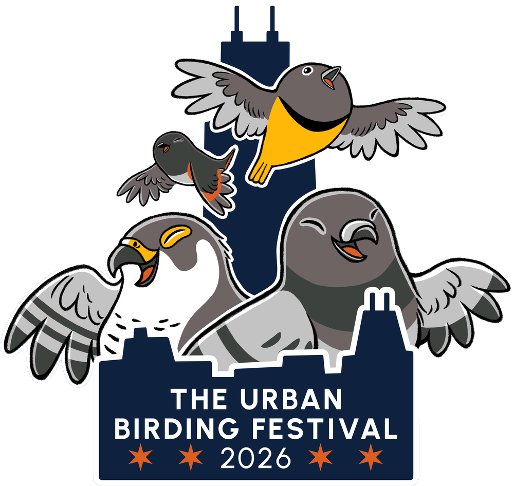 The 2026 Urban Birding Festival Wrap-up