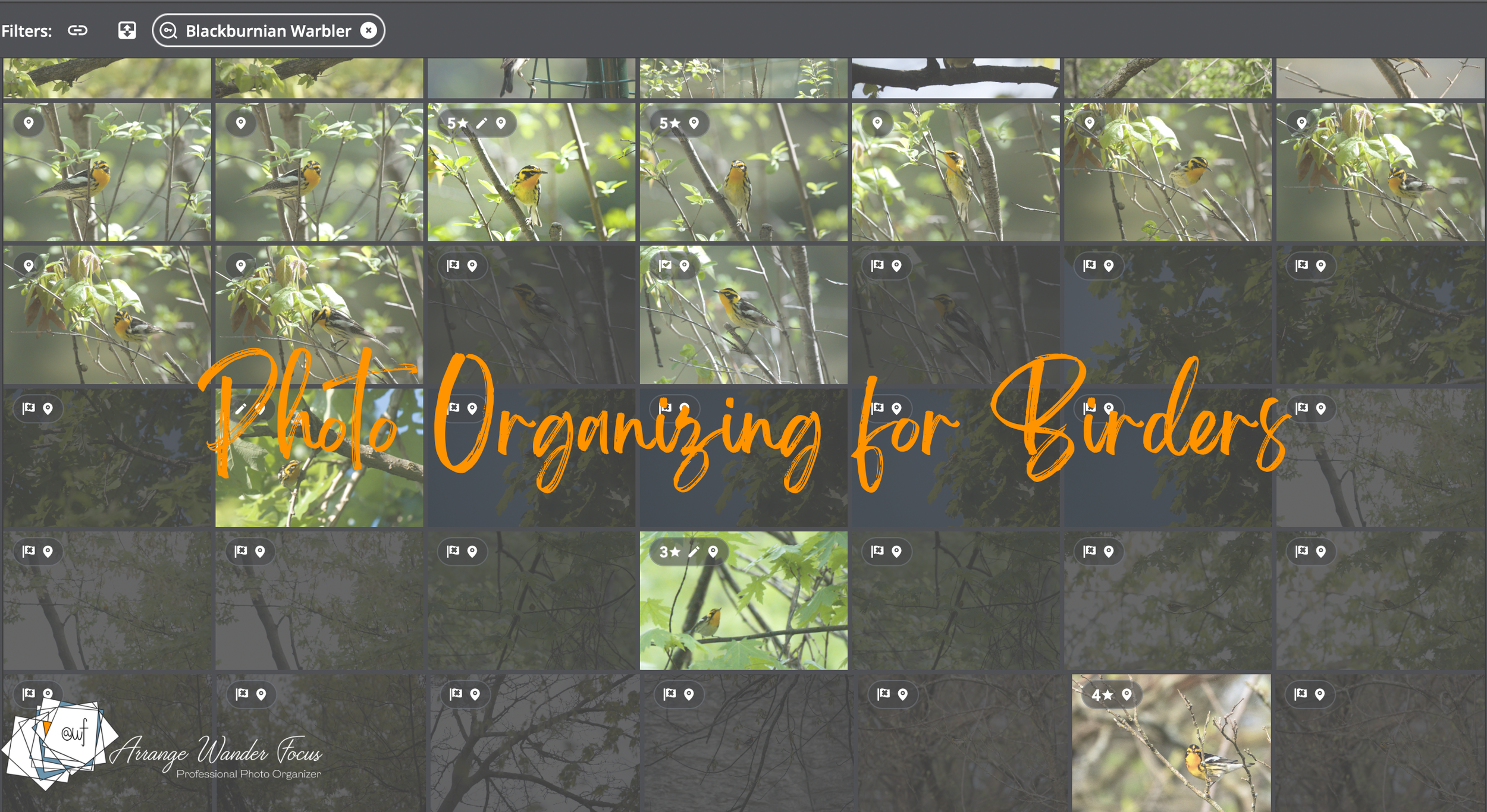 Virtual Presentation - You Took Thousands of Photos at The Urban Birding Festival, Now What?