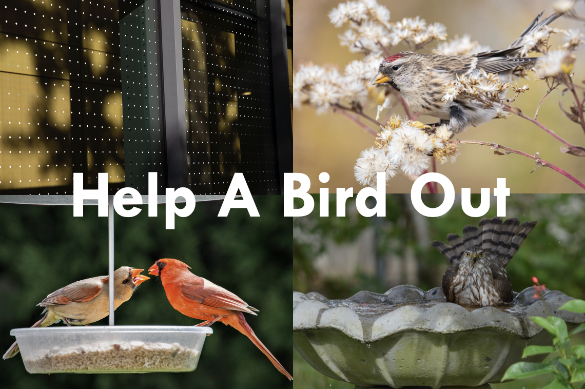 Screenshot 2026-03-03 at 10.12.32 PM.png