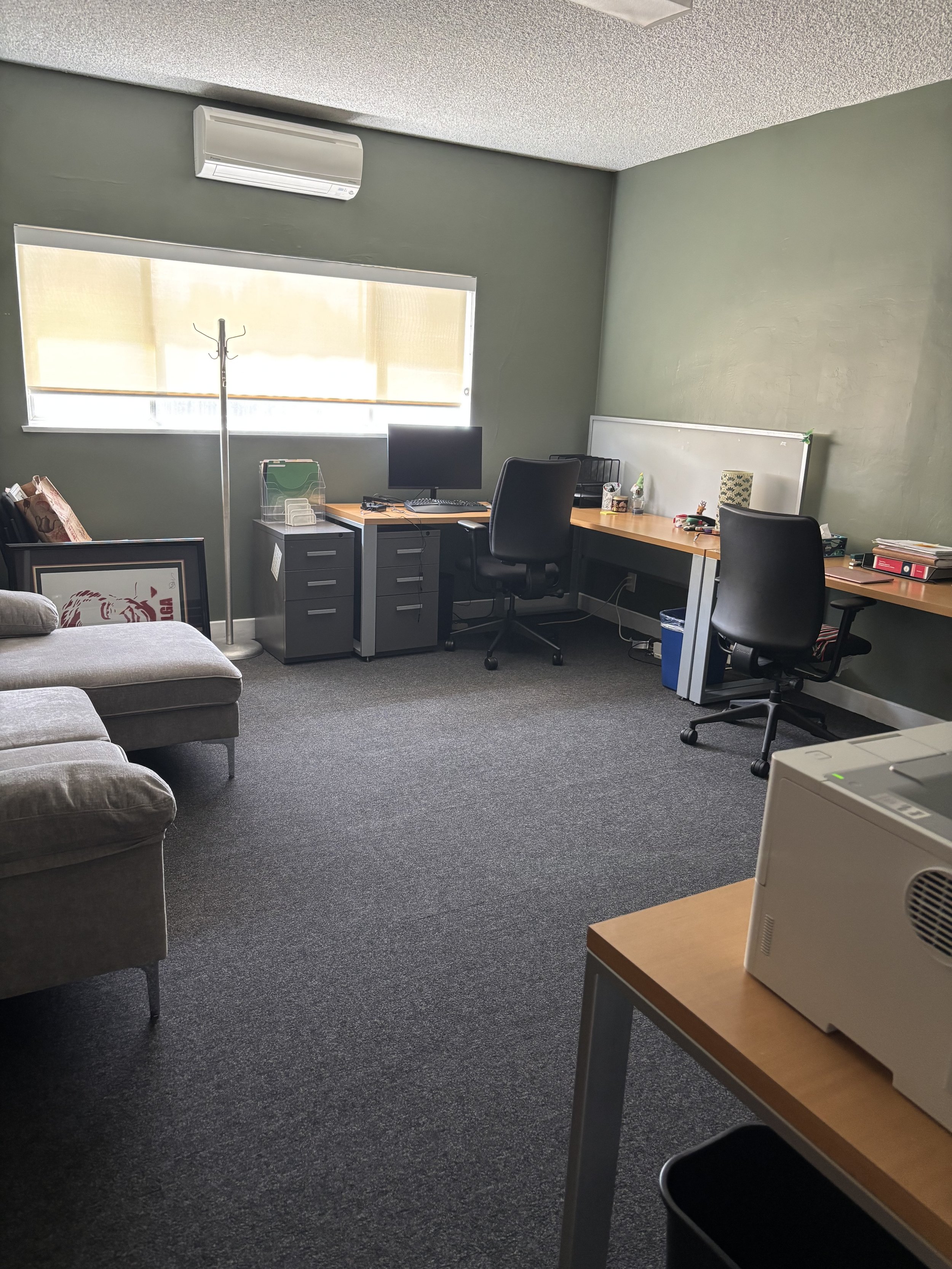 Office 1 with new carpet!.jpg