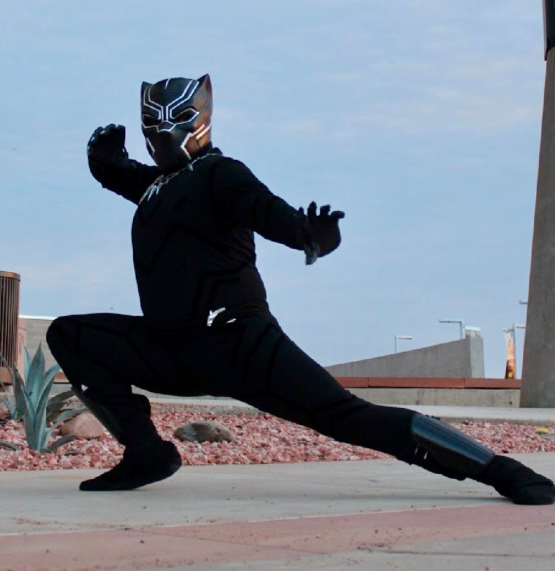 Black Panther