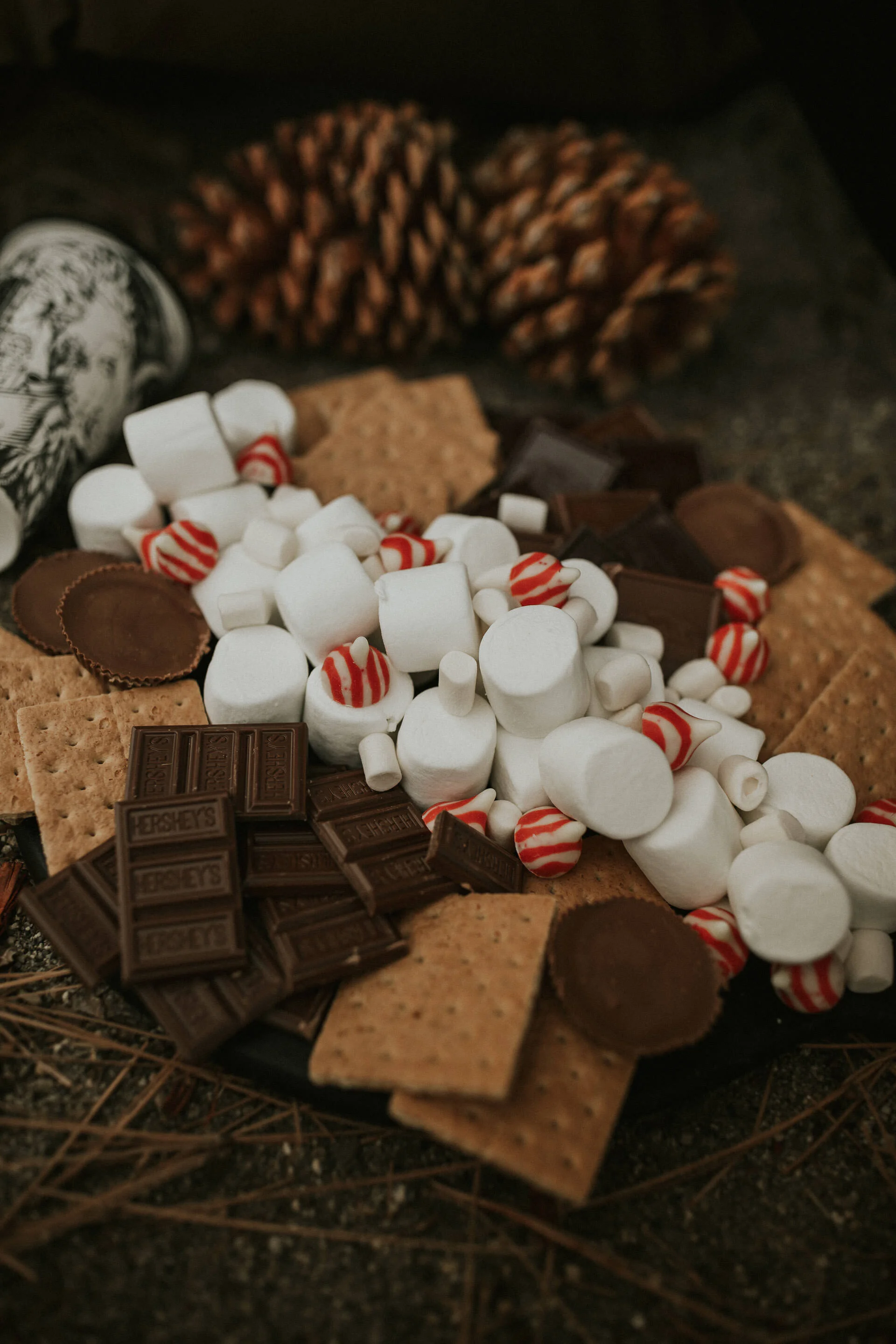 S Mores Dessert Board Easyylivin