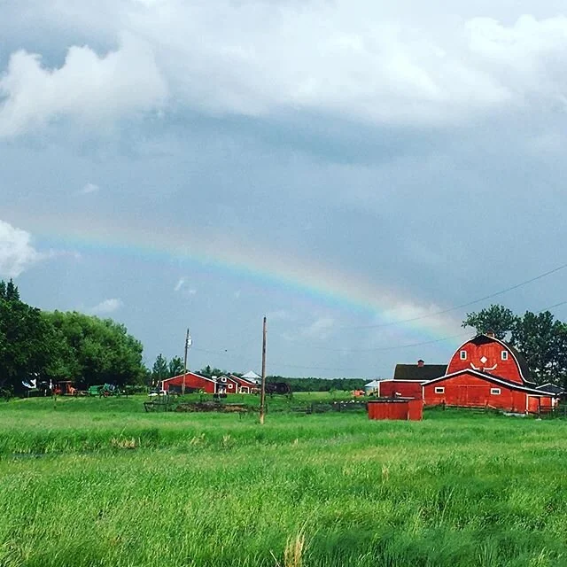 Photo taken just down the road from our place. We love Happy Barn. 🌈 
#albertafarm #albertabarn #rainbowaftertherain