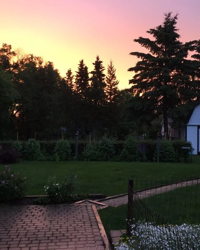 #nofilter pic taken by my daughter tonight of the gorgeous sunset. This is why we moved to the country. So that when we are settling into watching a show our kid says, &ldquo;look at the colors!&rdquo; And we all rush out to see. #blessed #countryliv