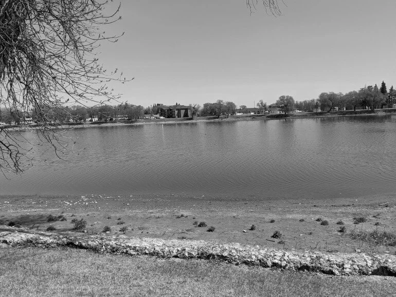 Five Reasons Why Island Park is a Great Place to Take Your Dog