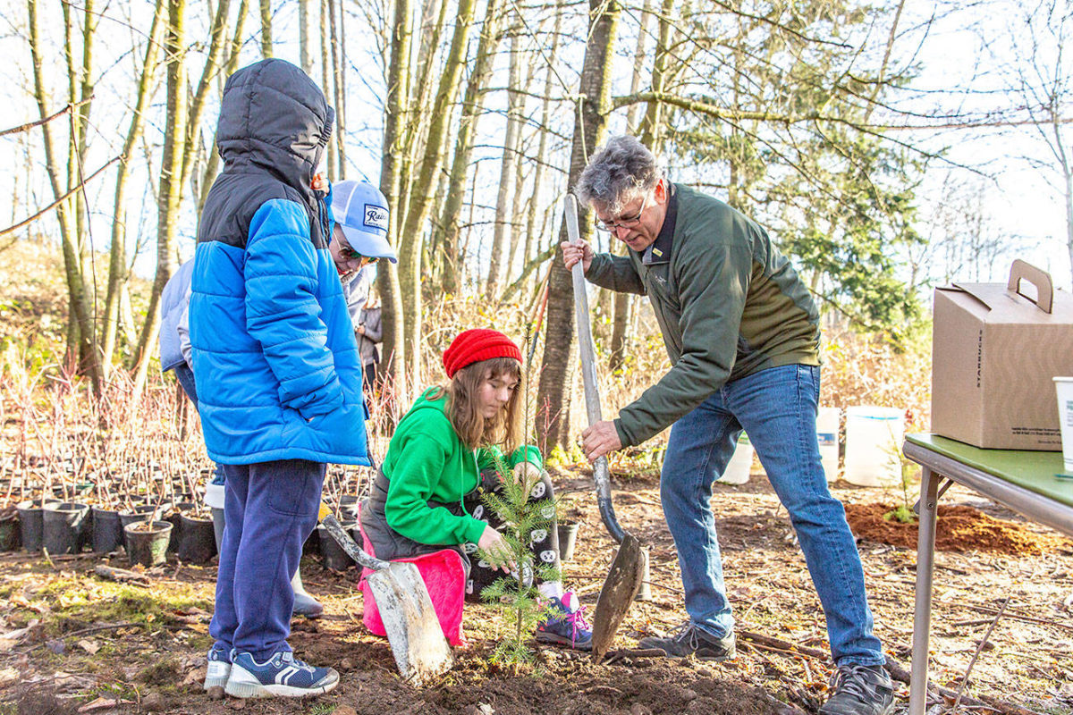 15380074_web1_Tree-planting_190126_162-1200x800.jpg