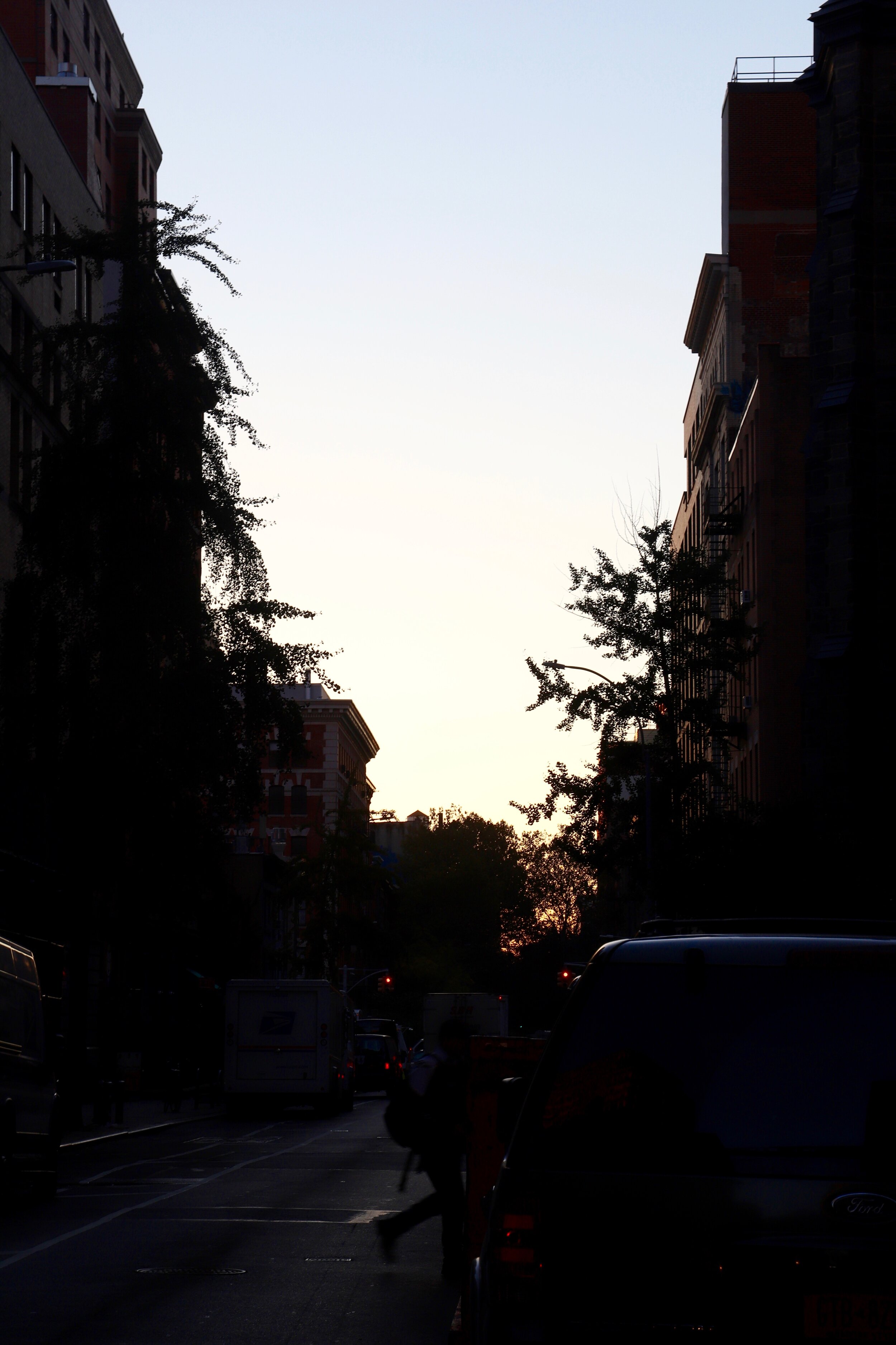 IMG_8553.jpg