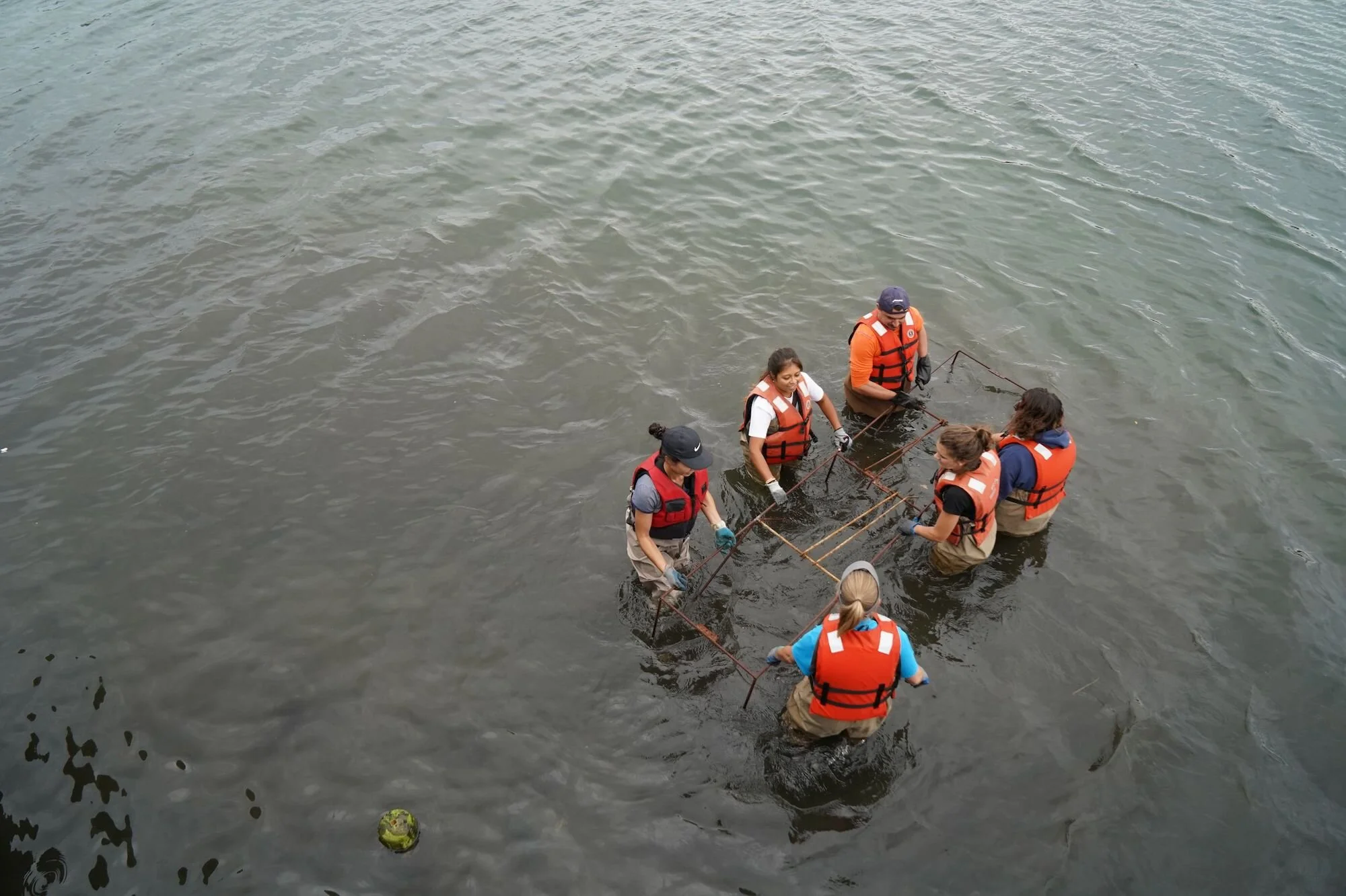 Billion Oyster Project