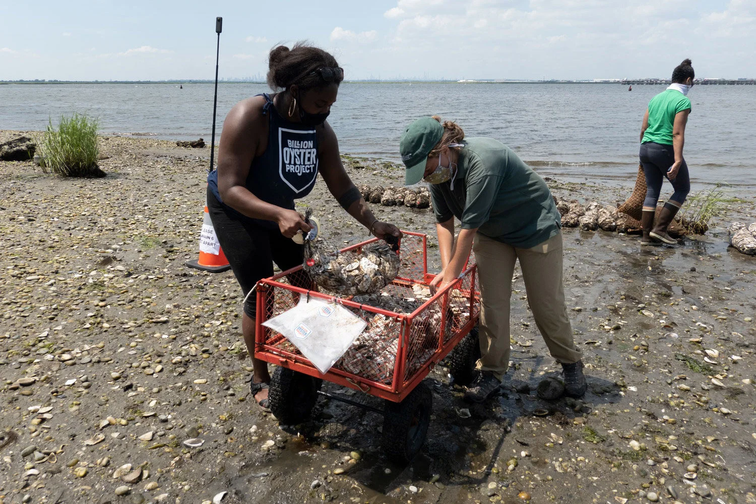Bayswater Point State Park in Far Rockaway becomes BOP's first community reef in Queens!