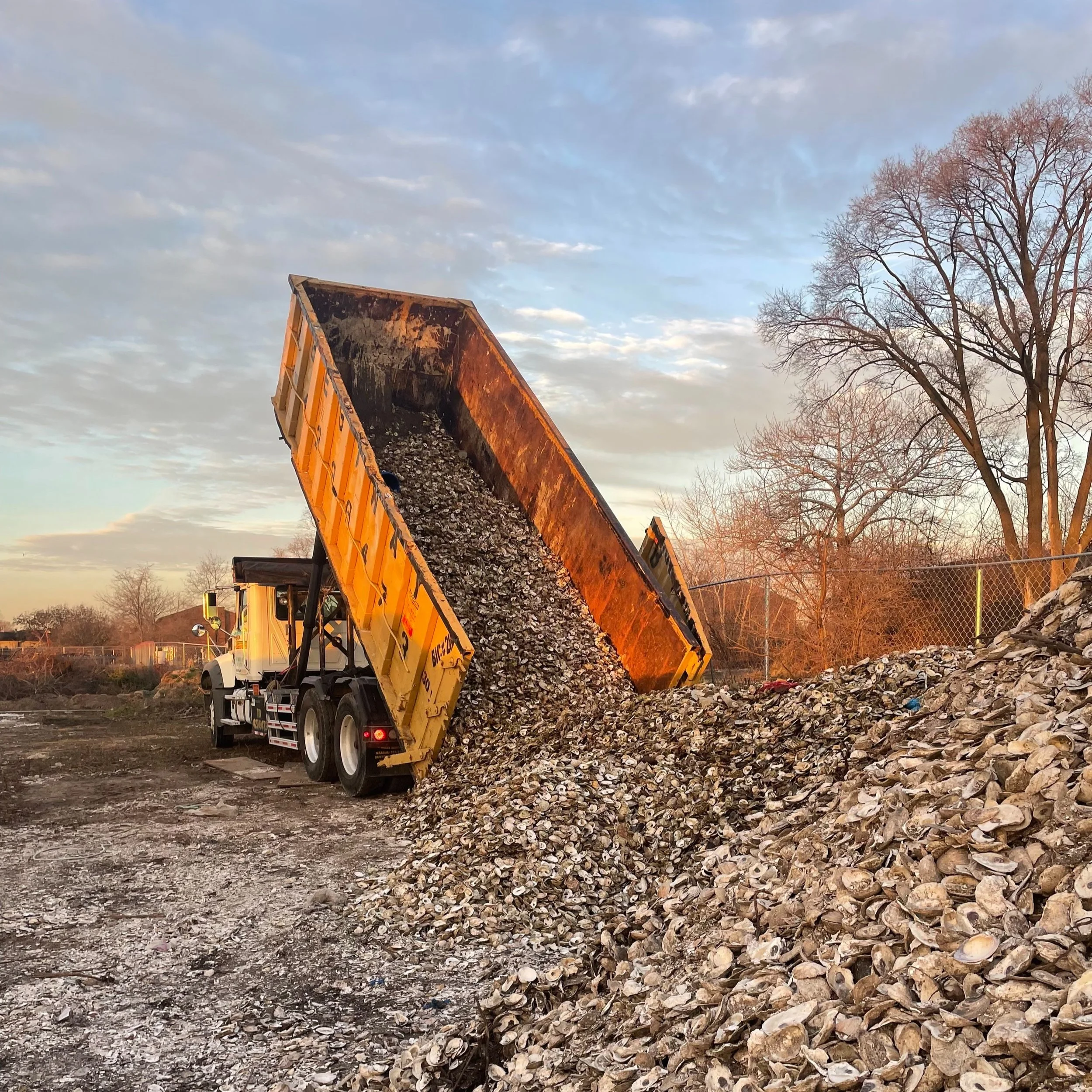 Eating more oysters can help restore them, too.