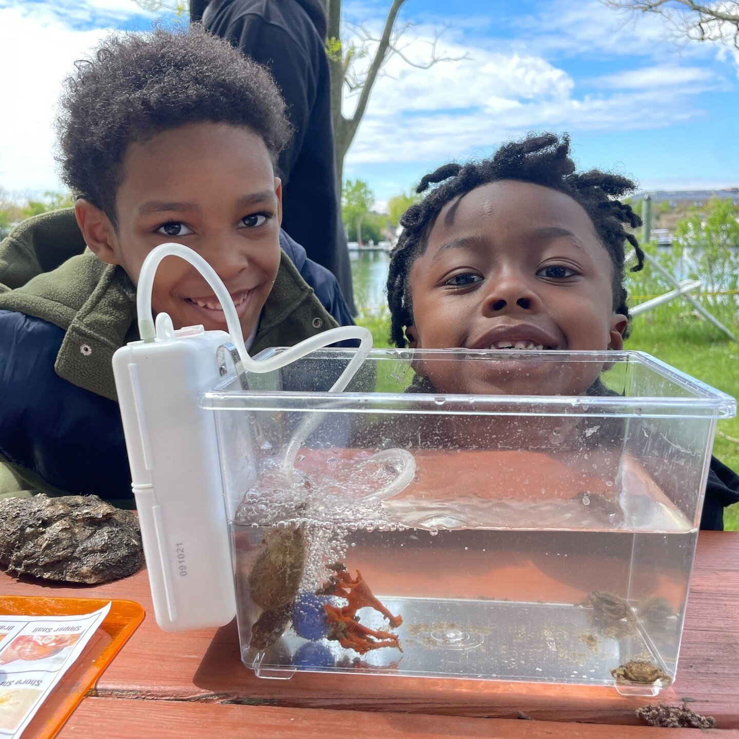 Big thank you to the curious and creative students from New Bridges Academy for joining us at our Canarsie Field Station to explore the underwater world of New York Harbor! Its inspiring to see your enthusiasm and the beautiful artwork you created wh