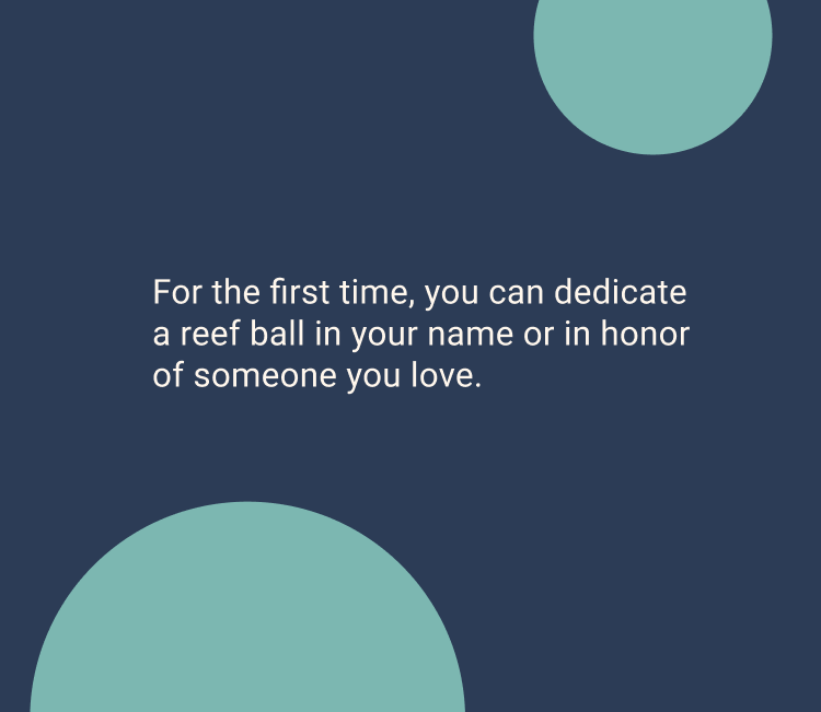Landing Page Banner Right.png