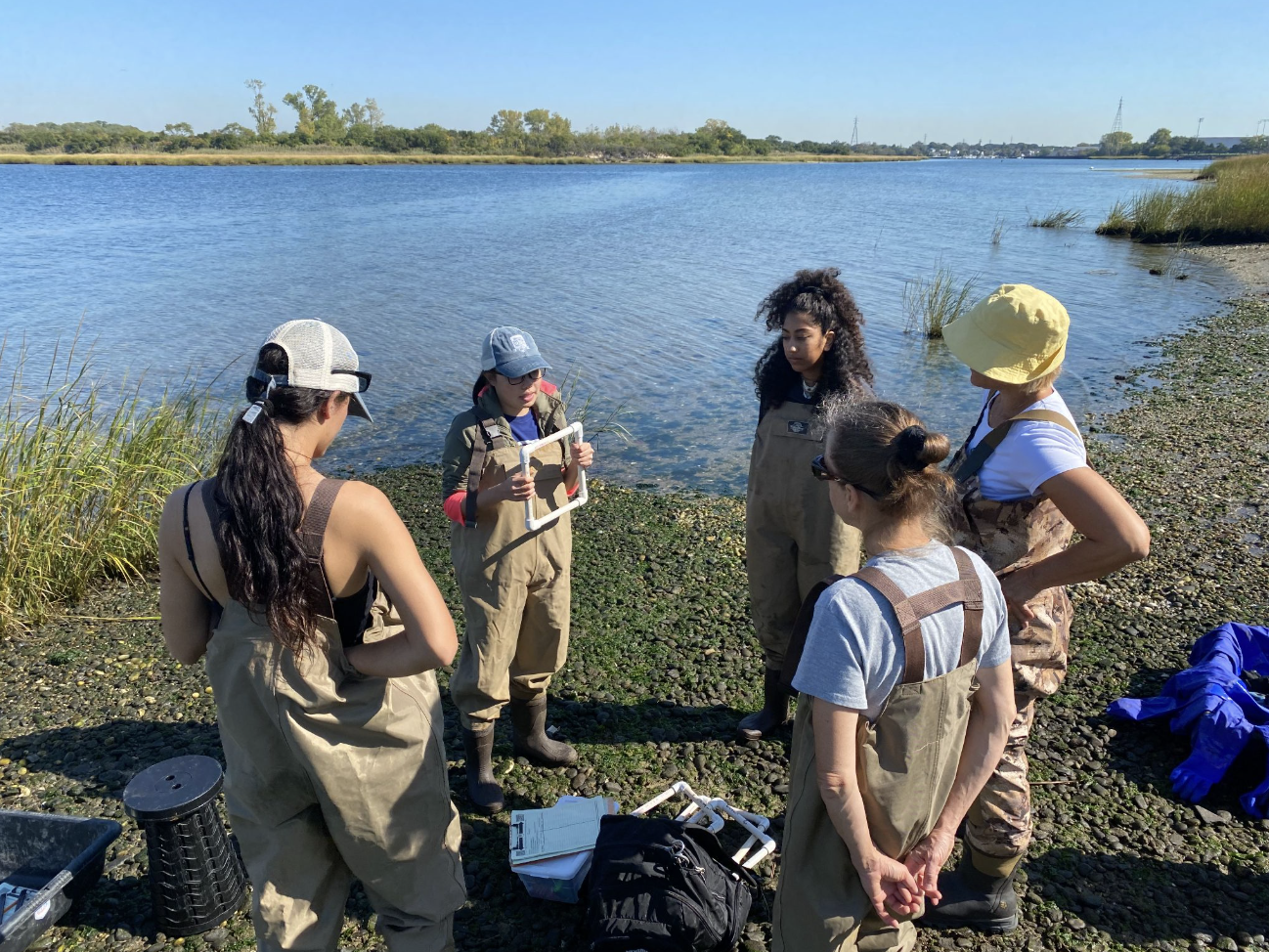 Billion Oyster Project Ambassador Volunteers .png