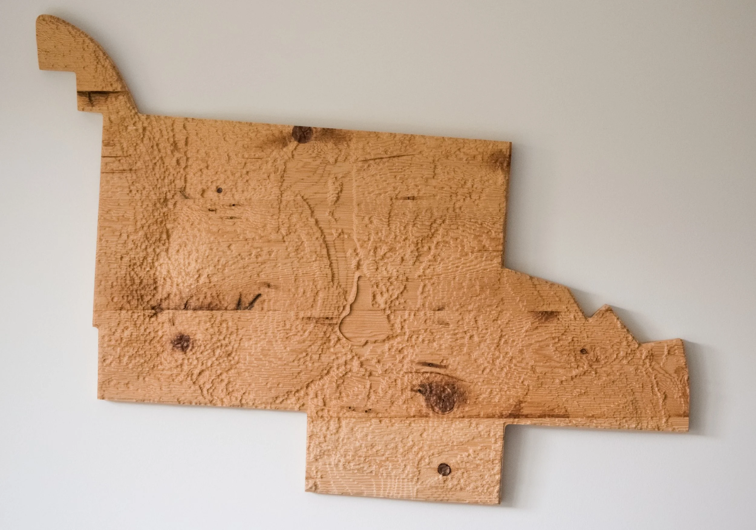 TextureOfHome copy.jpg