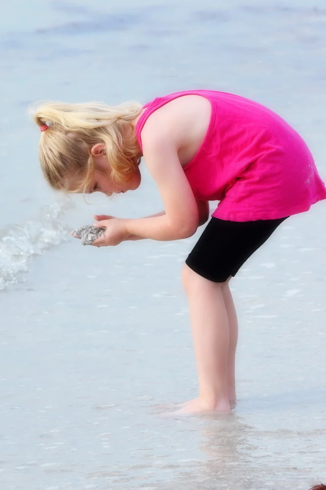 z 1 soft DSC_0782_resize.JPG