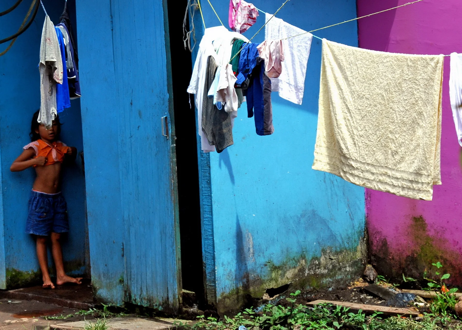 laundrytortuegaresize_resize.jpg