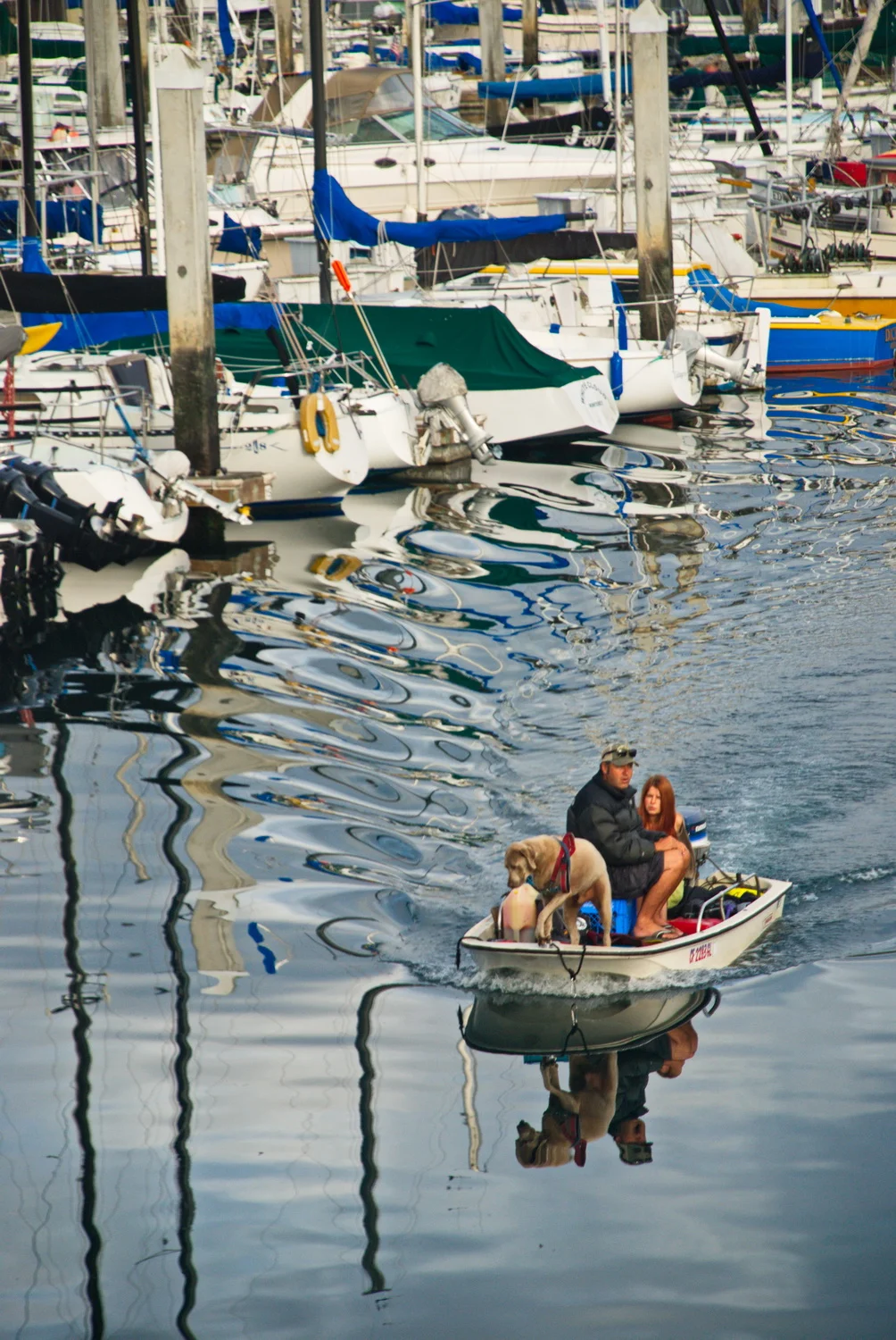 dog boat_DSC_3945_resize.jpg