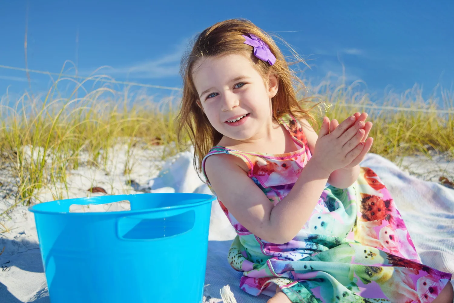 2 DSC_0031_resize.JPG