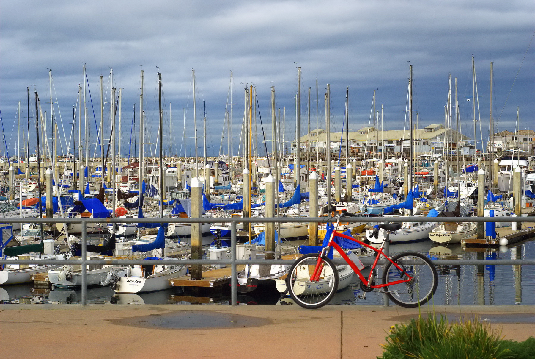 MonterreyHarbor1_resize.jpg