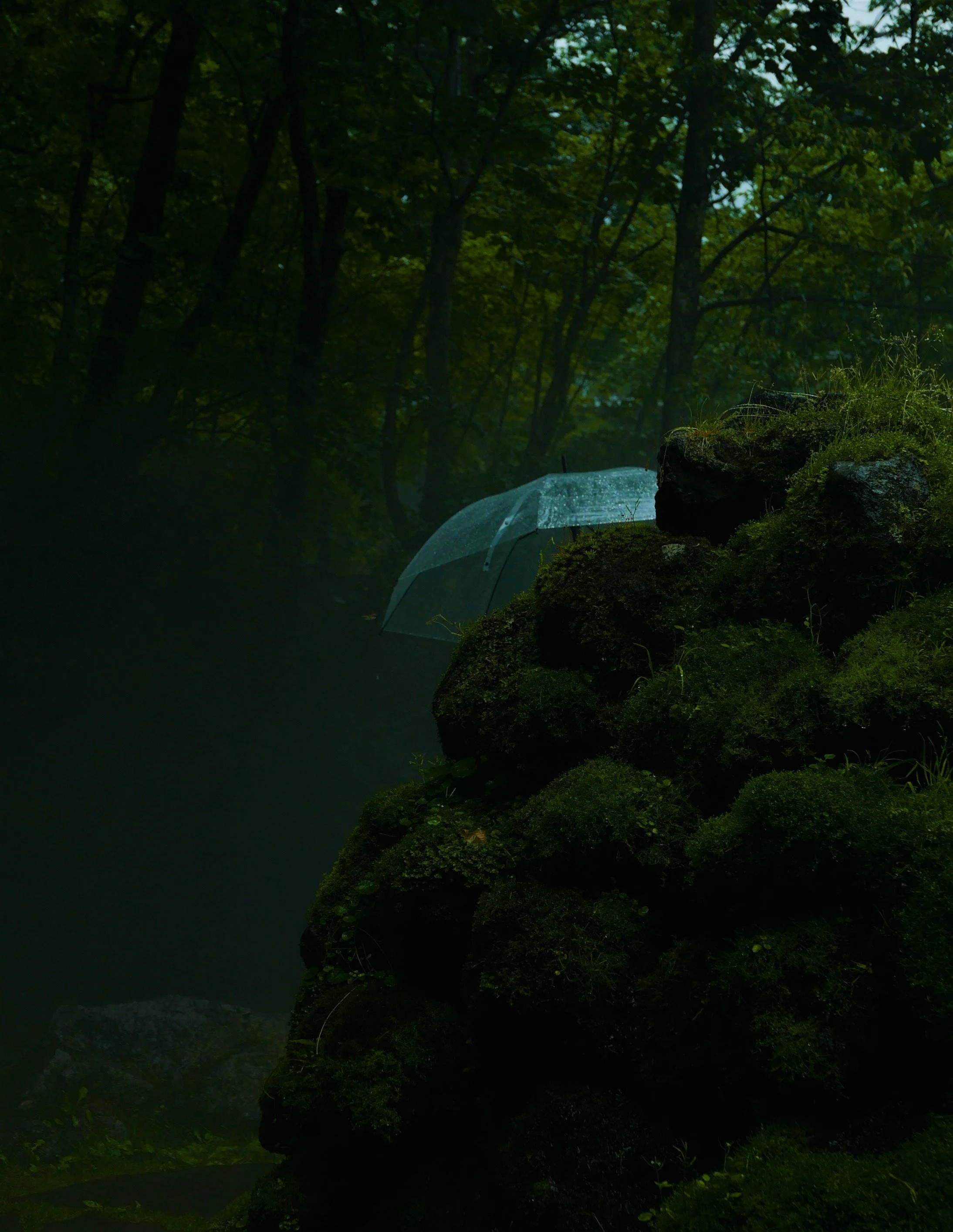 Distance - Hokkaido, Japan.jpeg