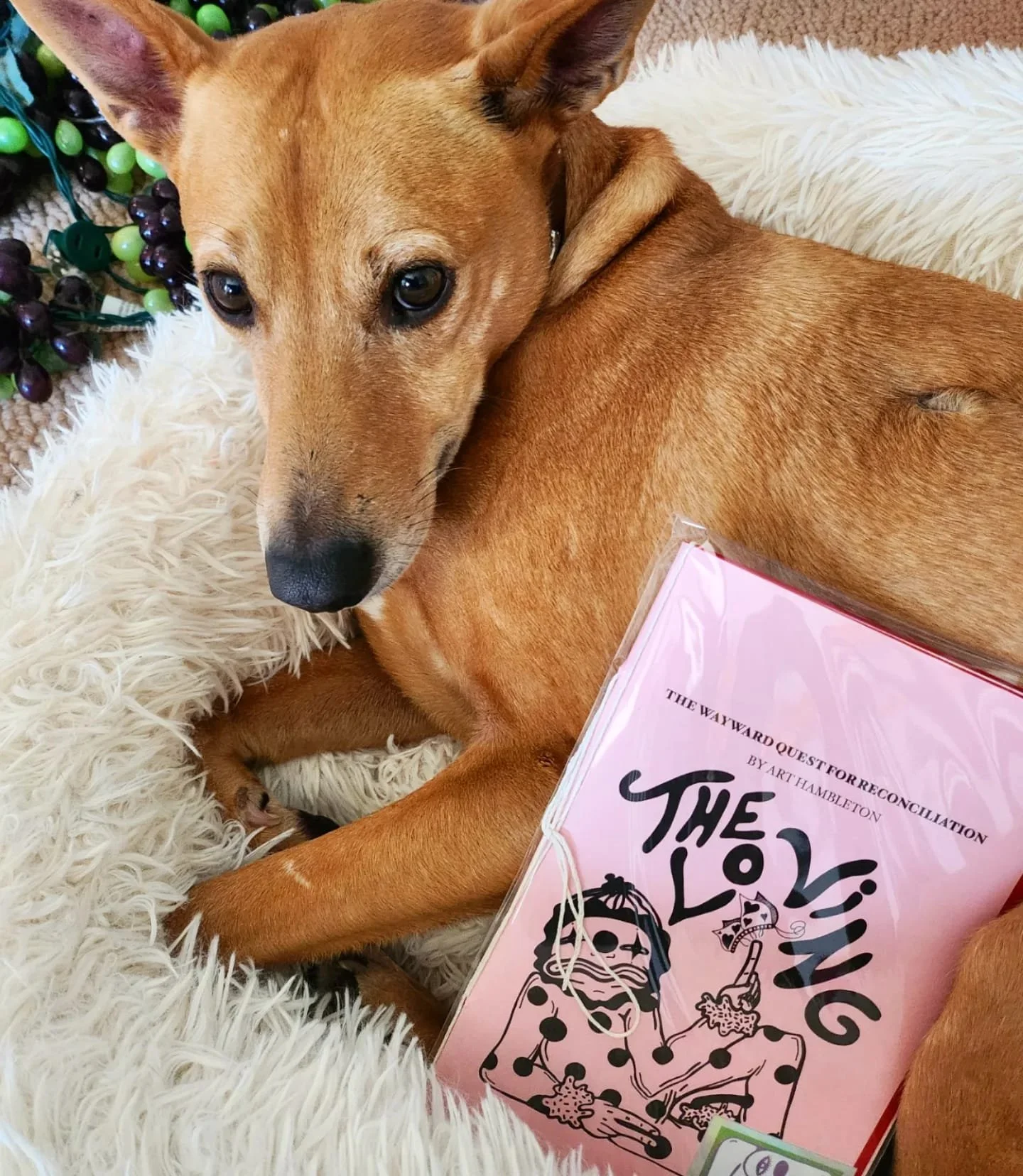 WhatsApp Image 2025-12-03 at 19.50.51 (3).jpeg