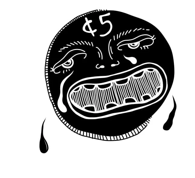 WhatsApp Image 2025-12-03 at 19.51.00 (4).jpeg