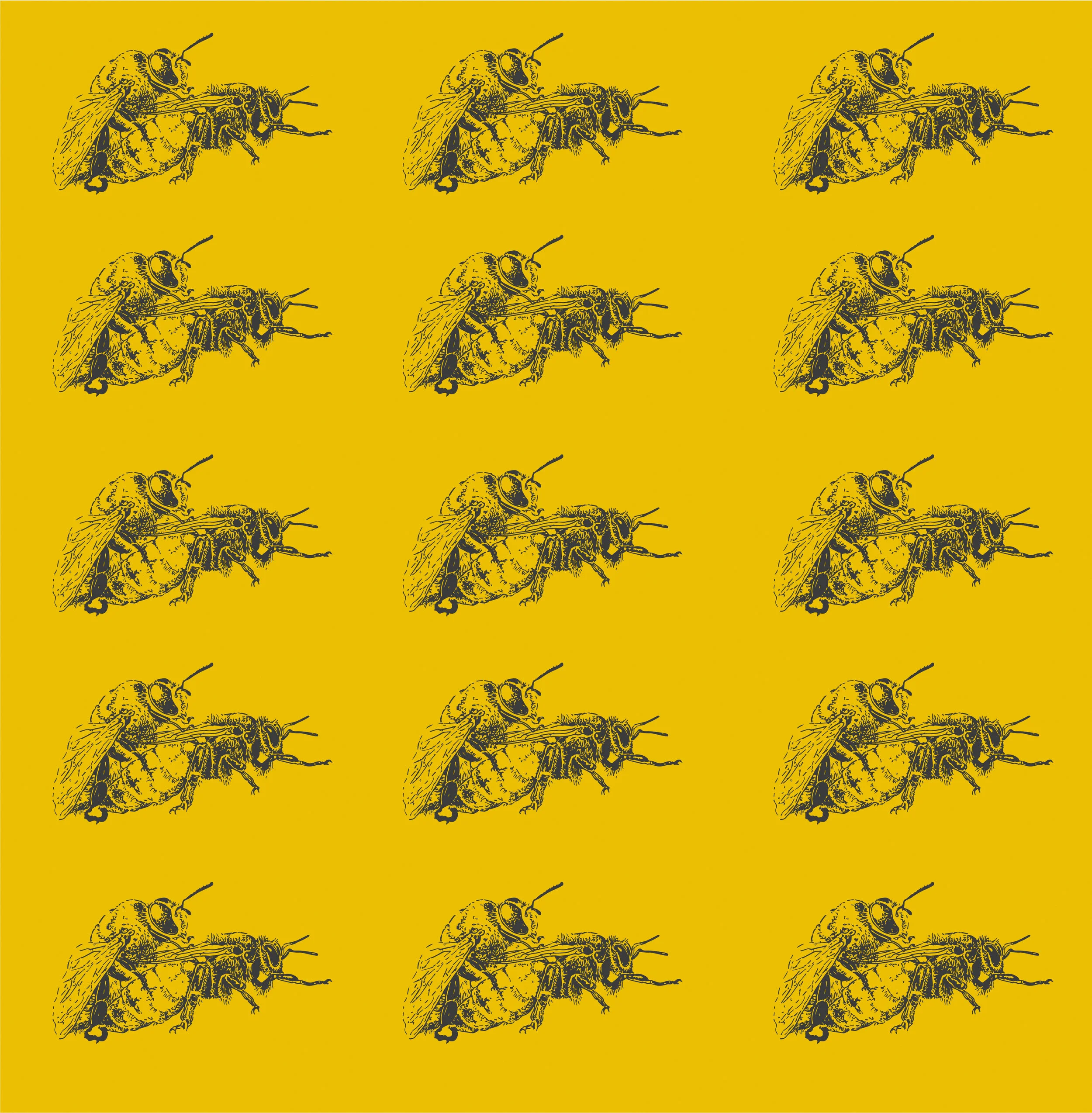 non-monogabee.jpg