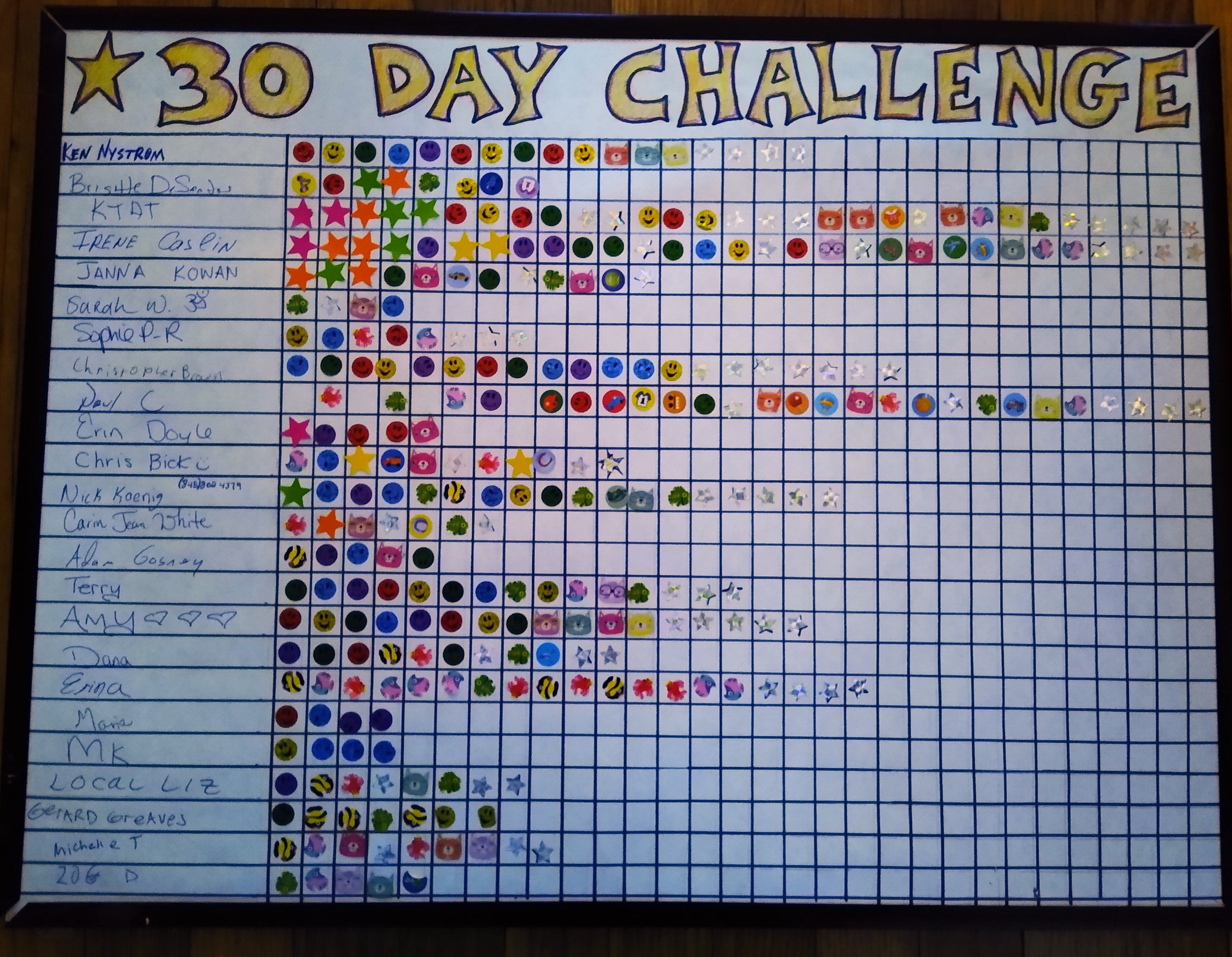 30 day challenge chart.jpg