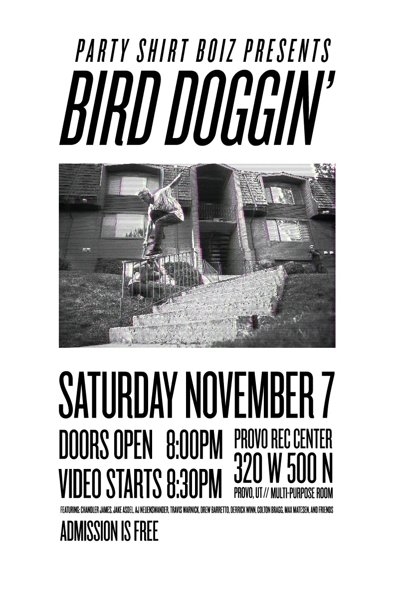 BIRDDOG_postermax-01.jpg
