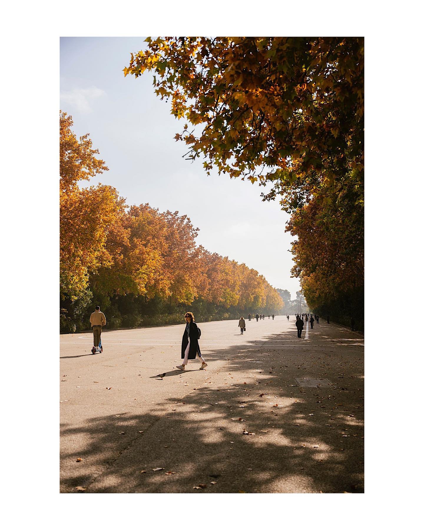 A small adventure in Madrid, Spain. Very beautiful country and even more beautiful people 🍁 

#madrid #spain #travel #travelspain #meetingnewpeople #sony #sonya7iv 
#streetphotography 
#madridphotography #traveleurope