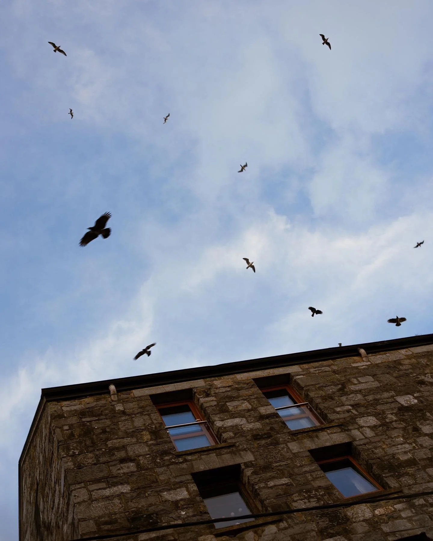 Galway, Ireland felt as if magic is still possible, I think this is one of the places it still does ✨ 

What place in this world gives a sense of magic to you?