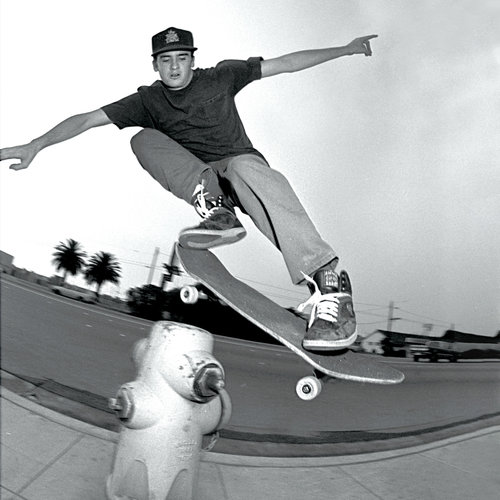 New Deal Skateboards 13 Ed Templeton