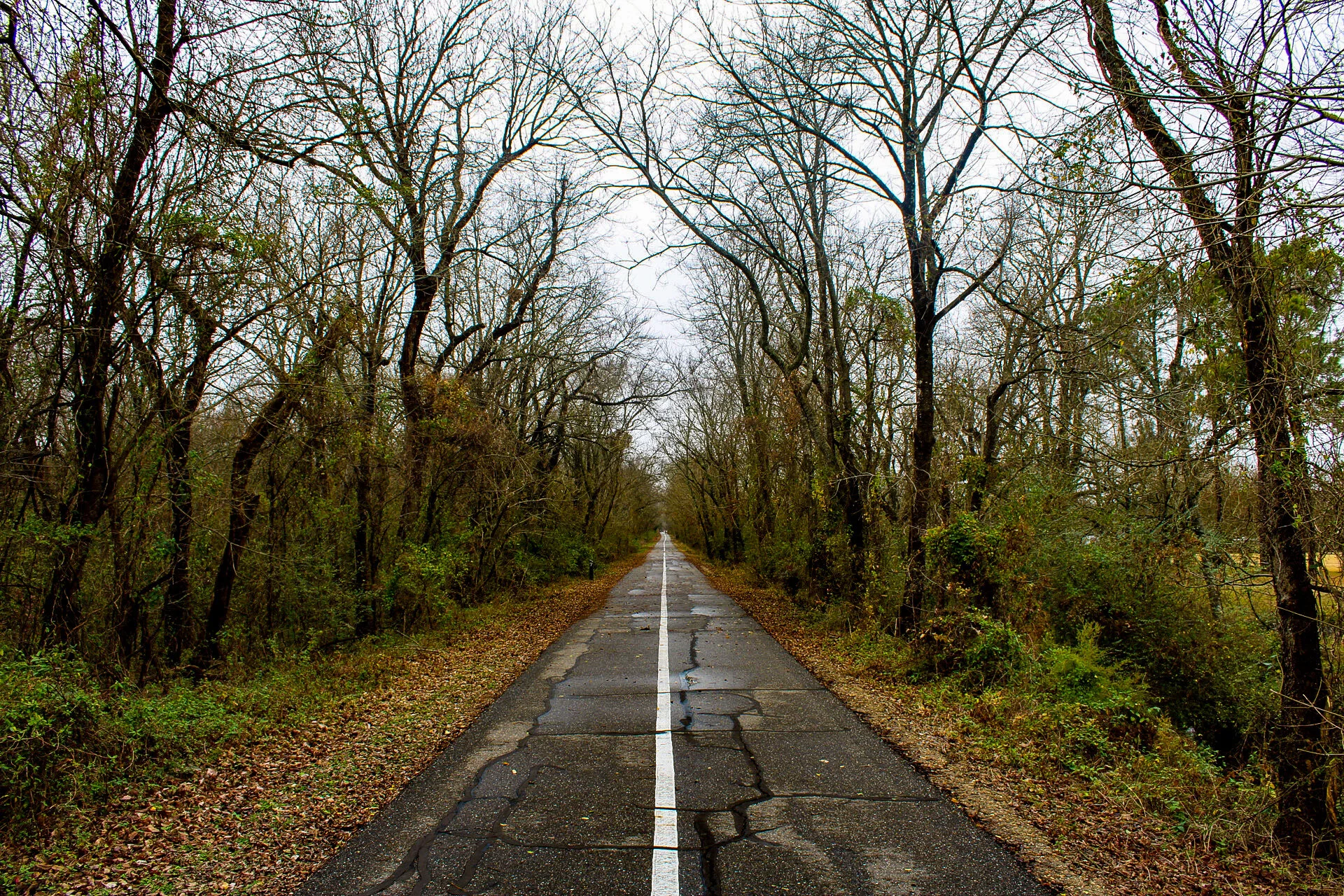The Trail de Paris on the first day of a new adventure that is 2021