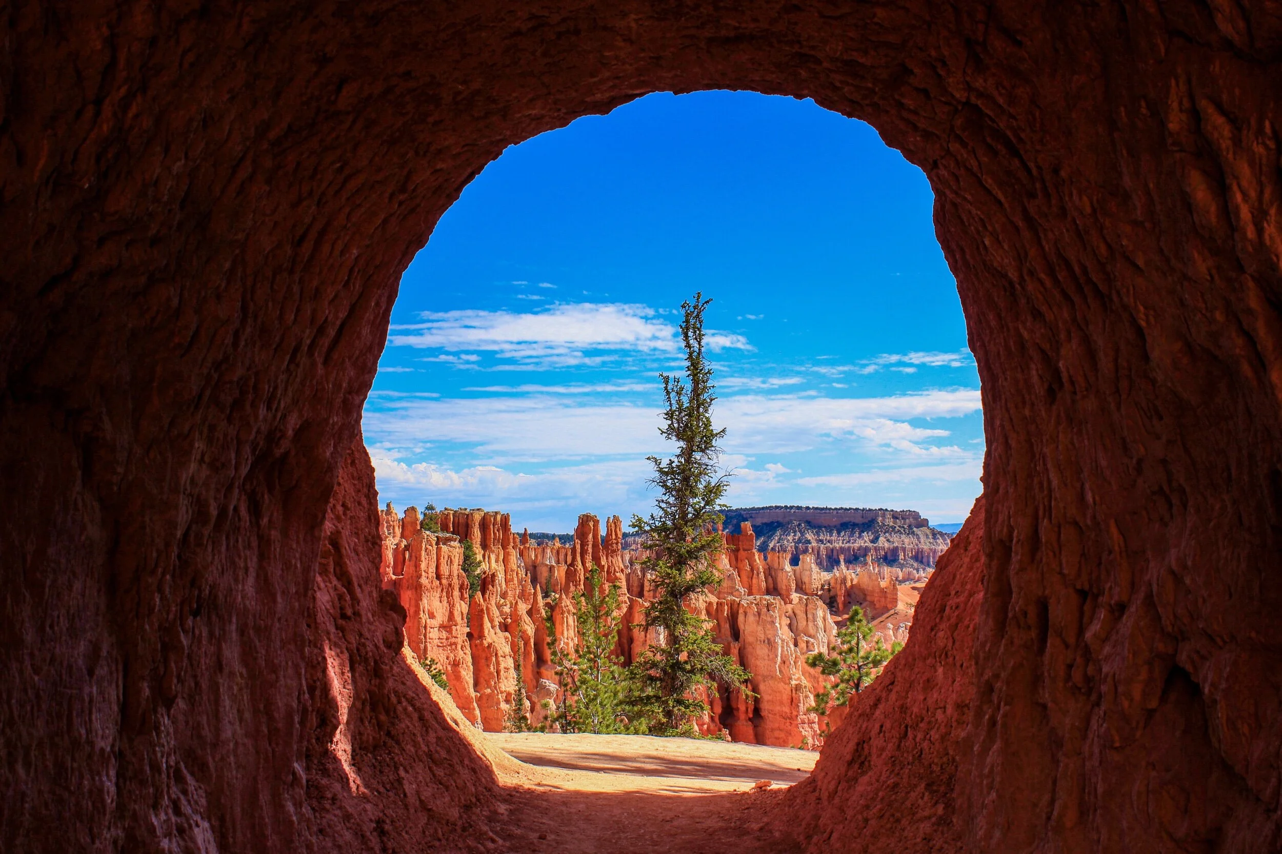 Hoodoos through a window in Bryce Canyon National Park, 2019