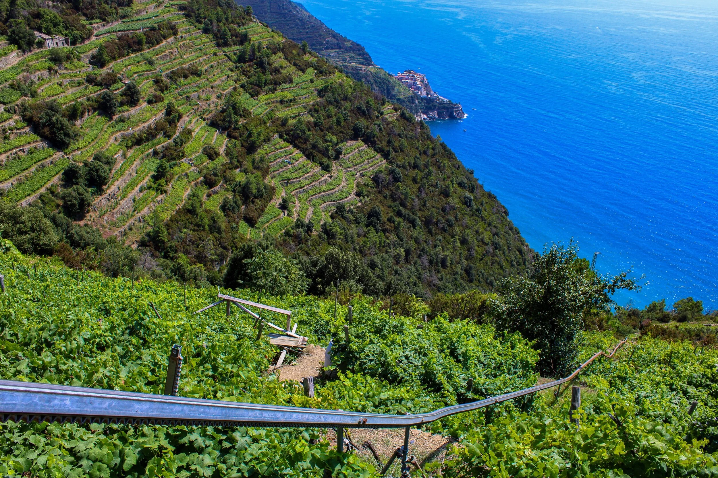 Terraced hills on the edge of the sea in Cinque Terre, August 2019