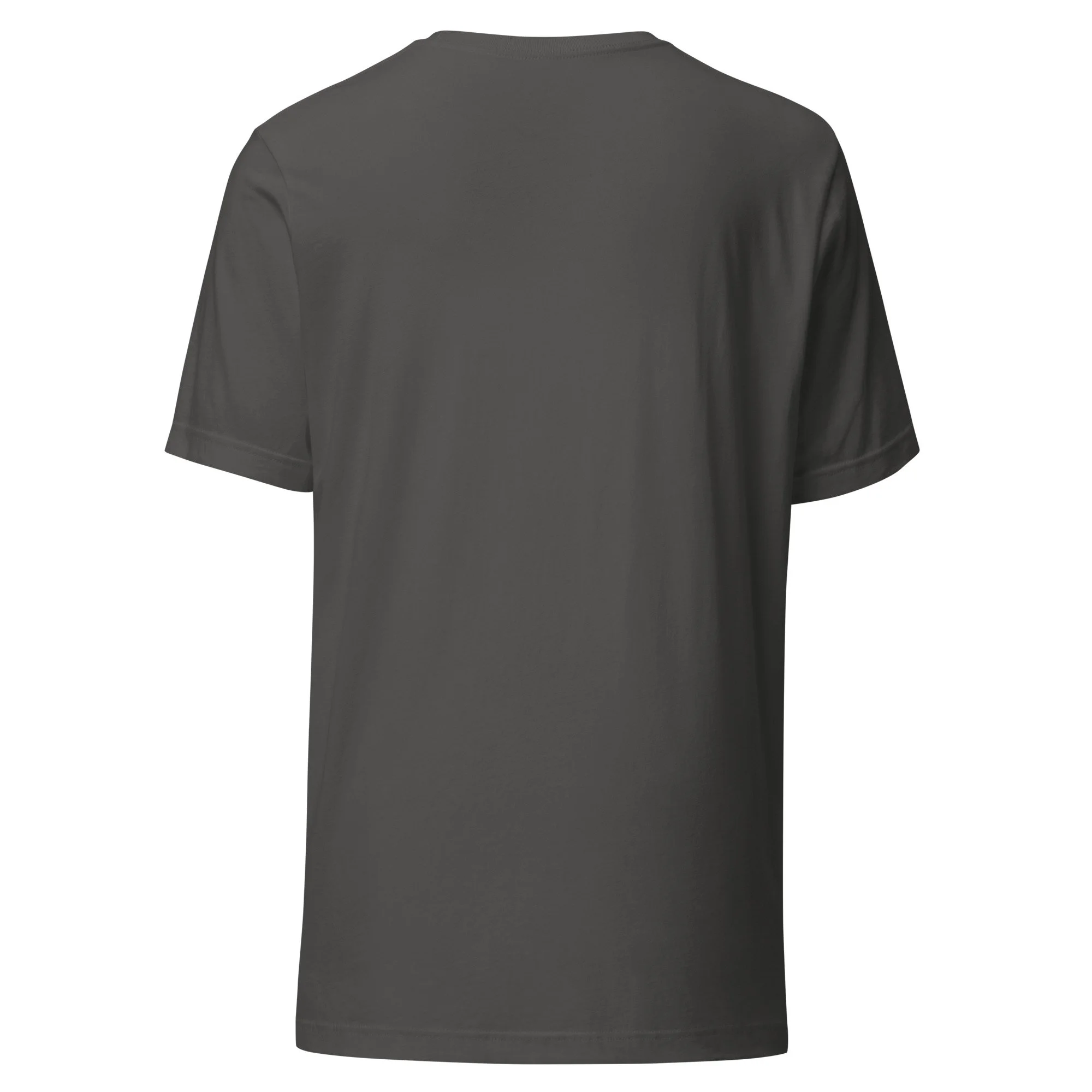 unisex-staple-t-shirt-asphalt-back-65a58bad0dbe6.jpg