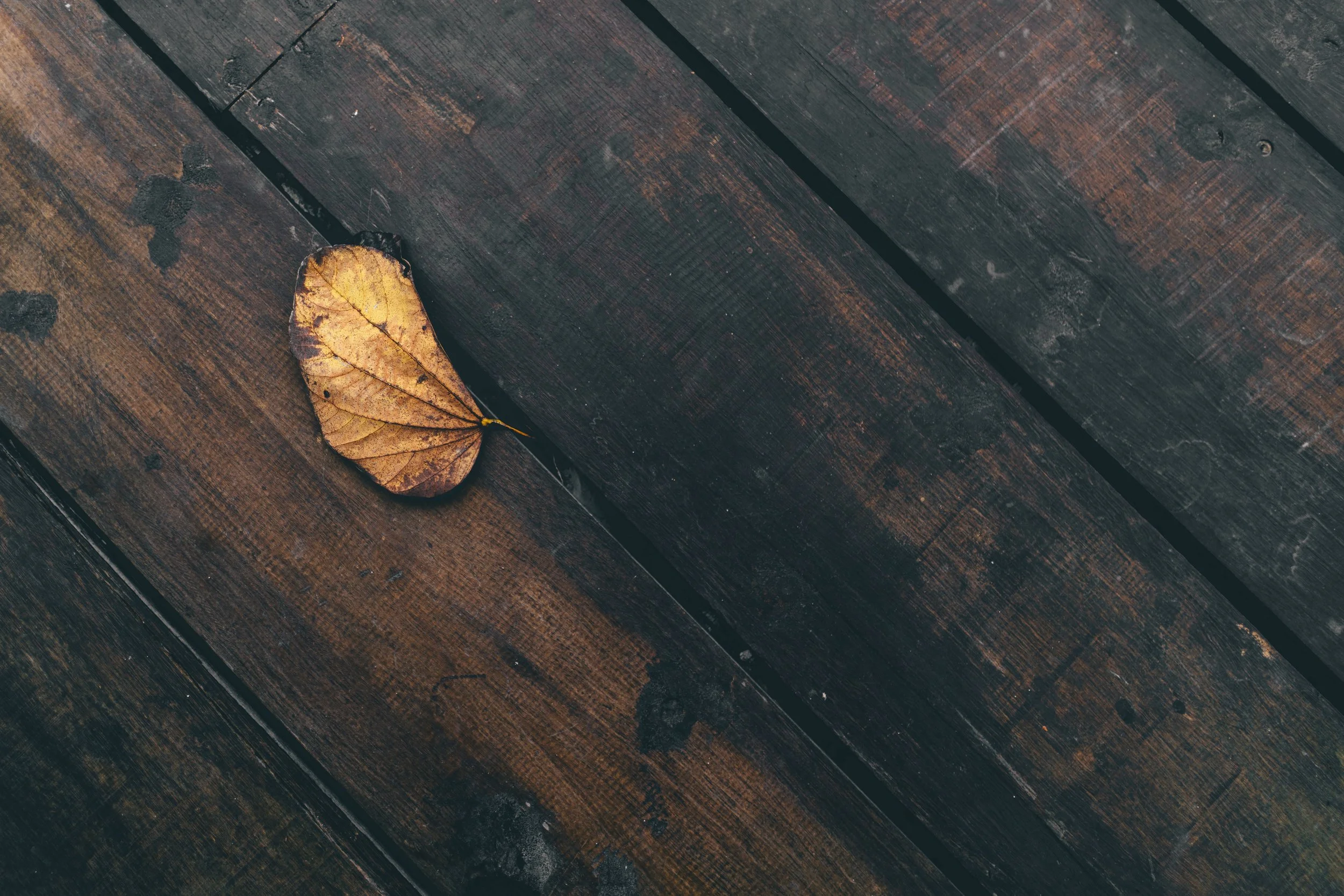 joshua-newton-143831-unsplash.jpg