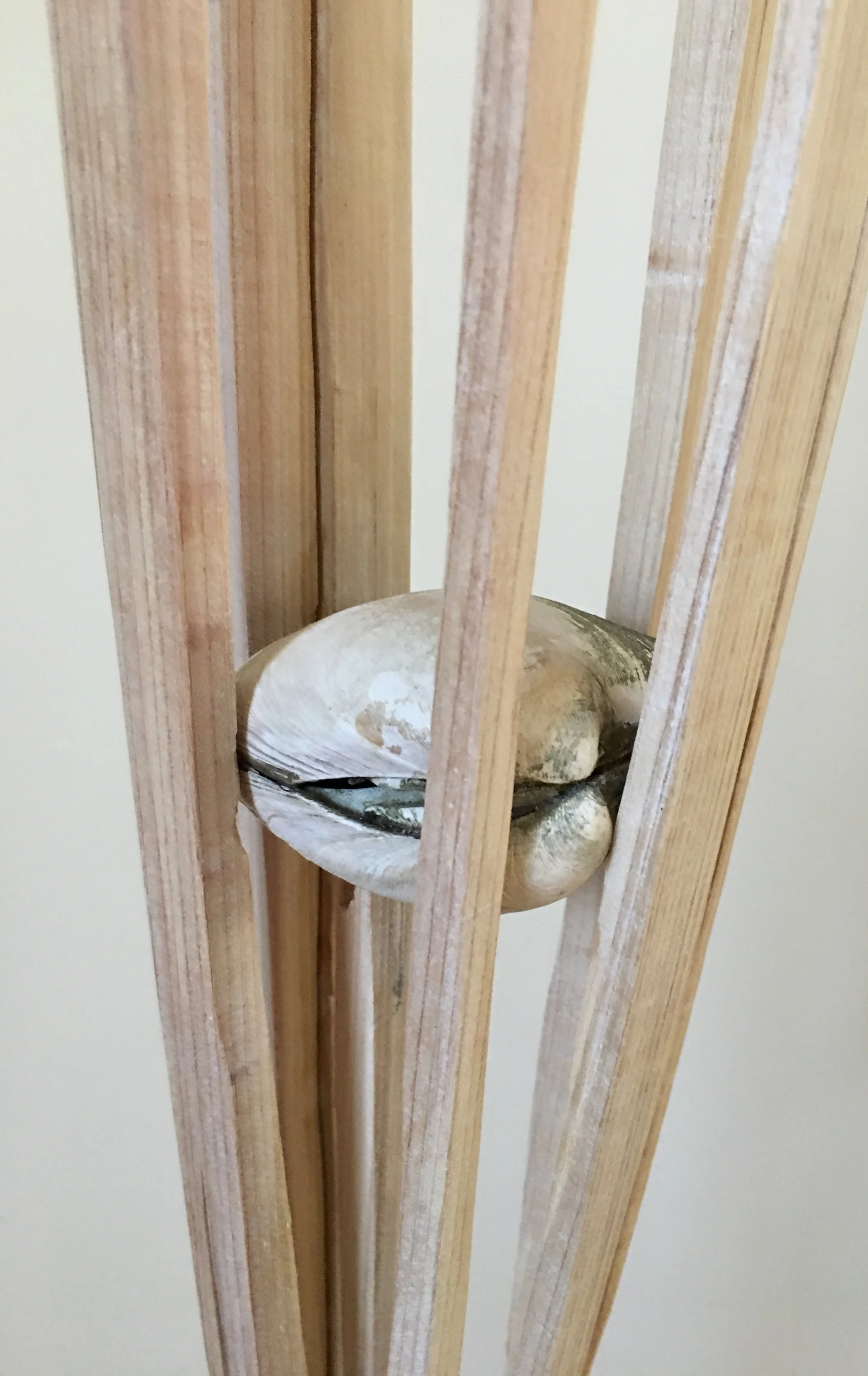 Clam Trap (detail), 2019