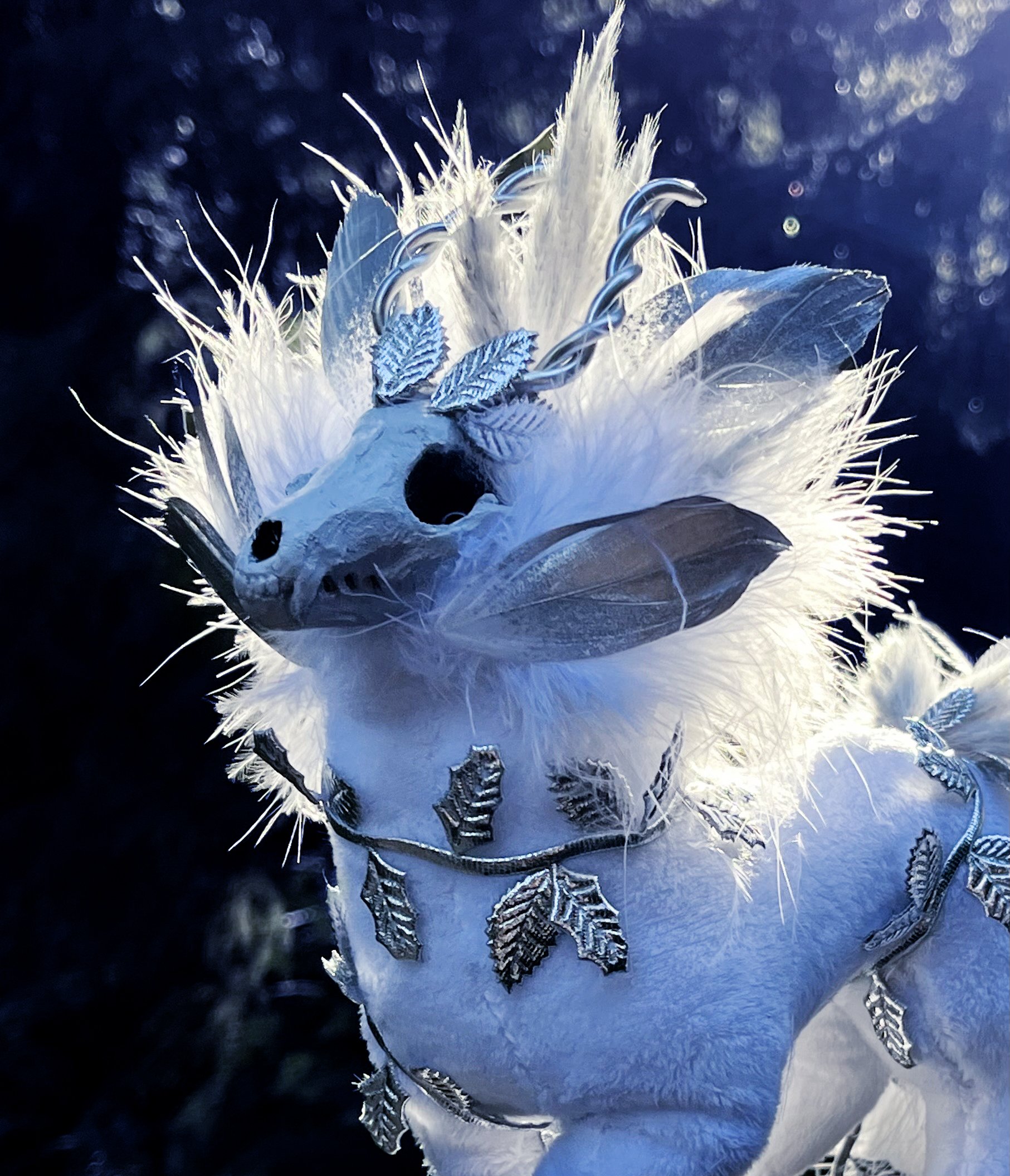 Winter1.jpg